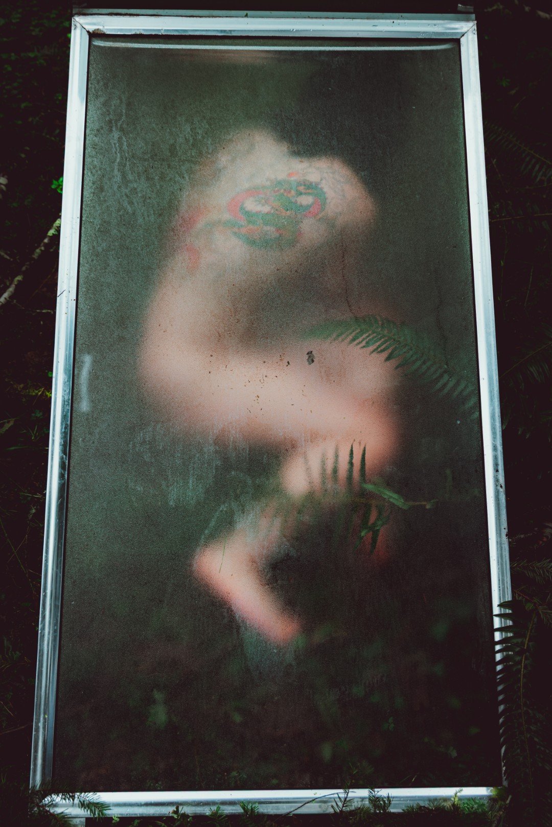 Forest Shower-46 (Large).JPG