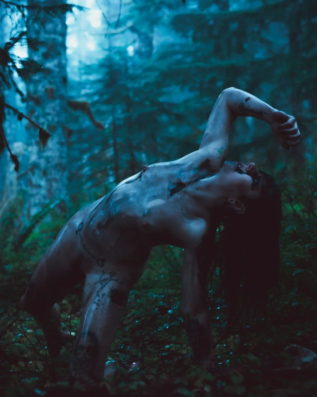 Zander wasp -22 (Large).JPG