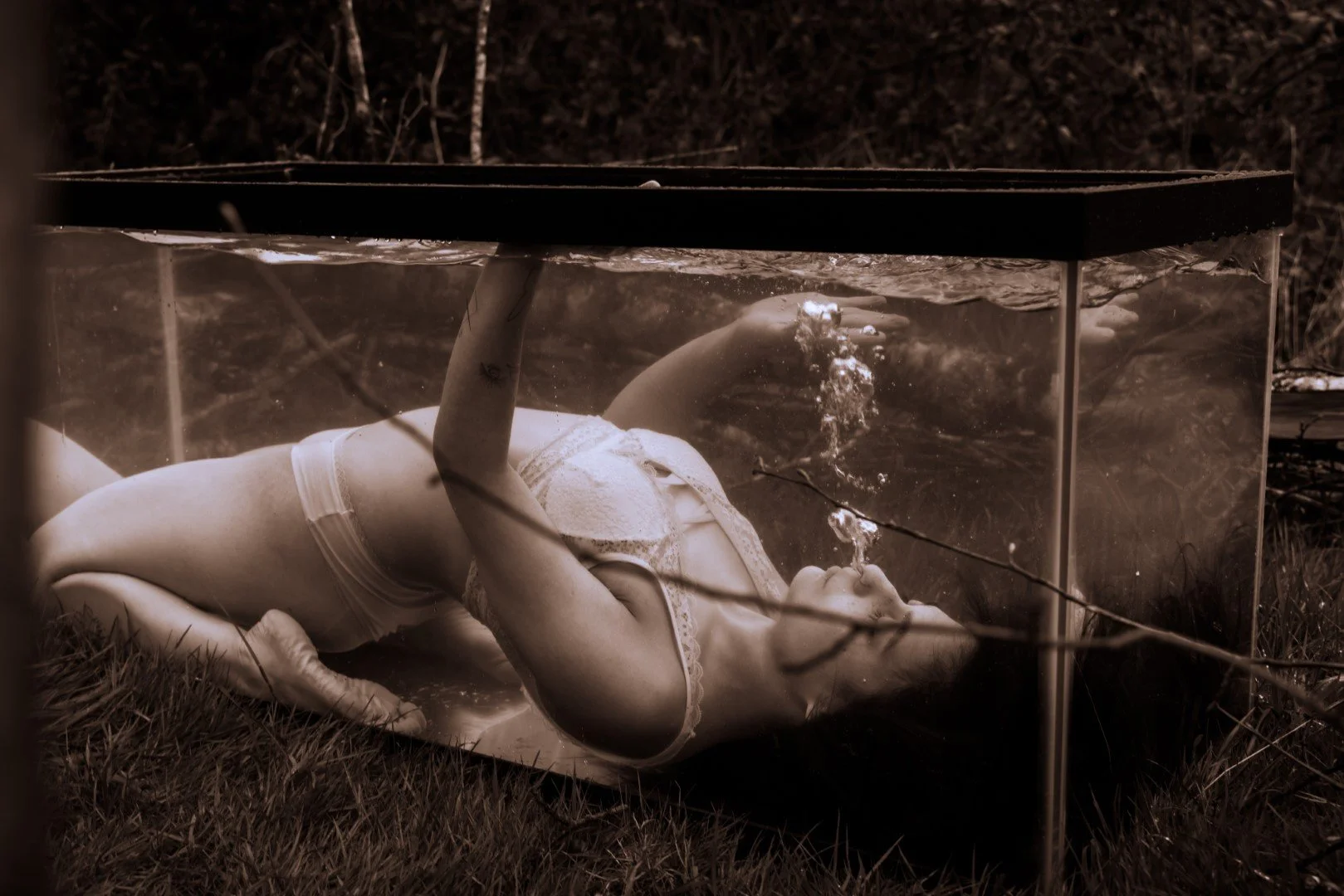 Shy Tank-14 (Large).JPG