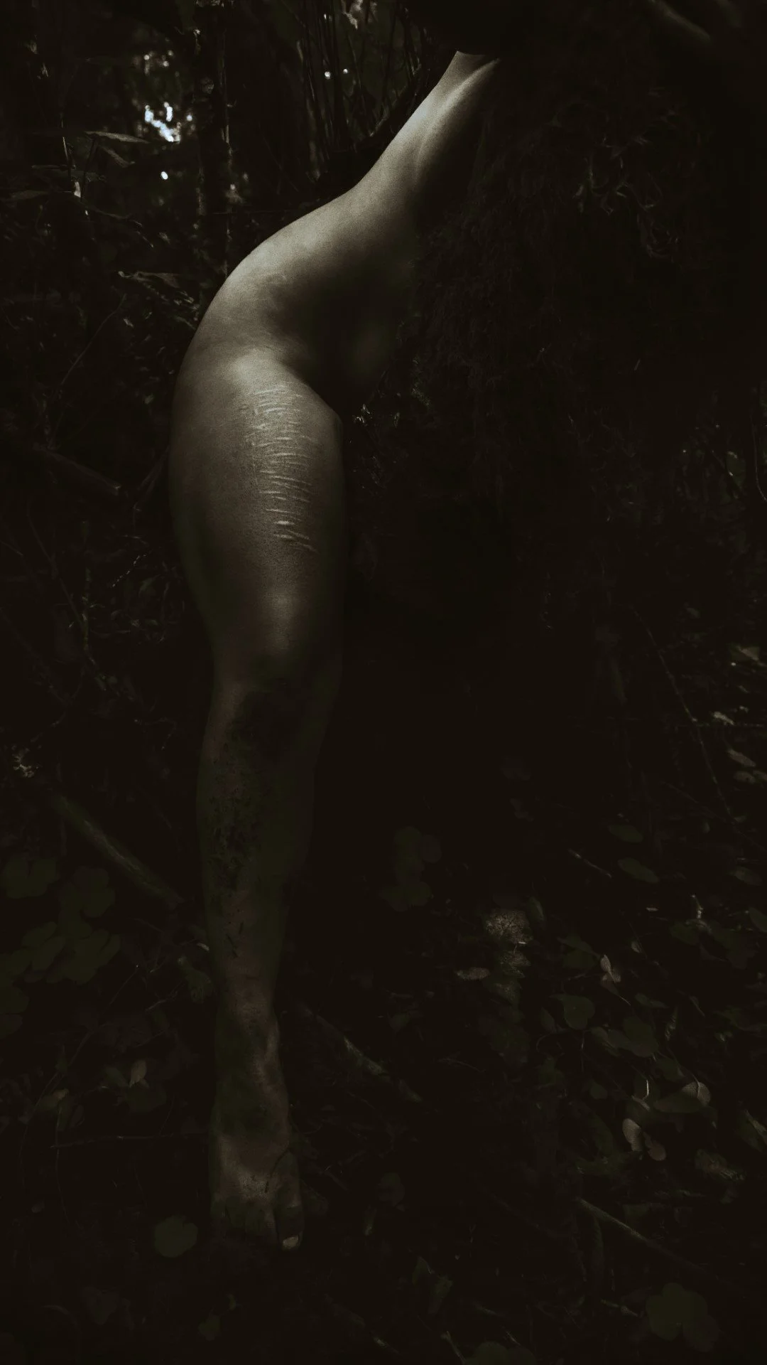 Enduring-72 (Large).JPG