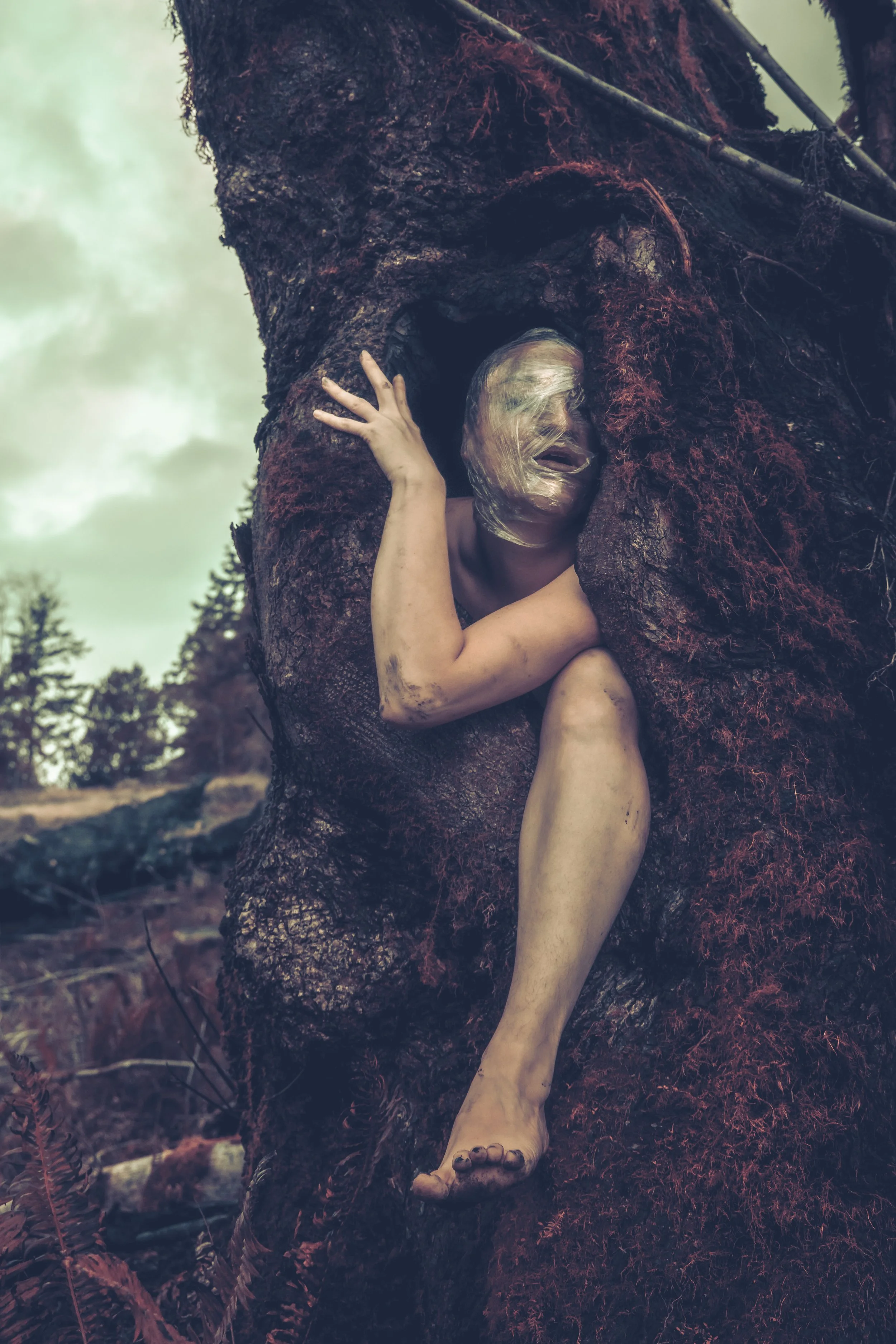 Saran Wrap Tree-26.jpg