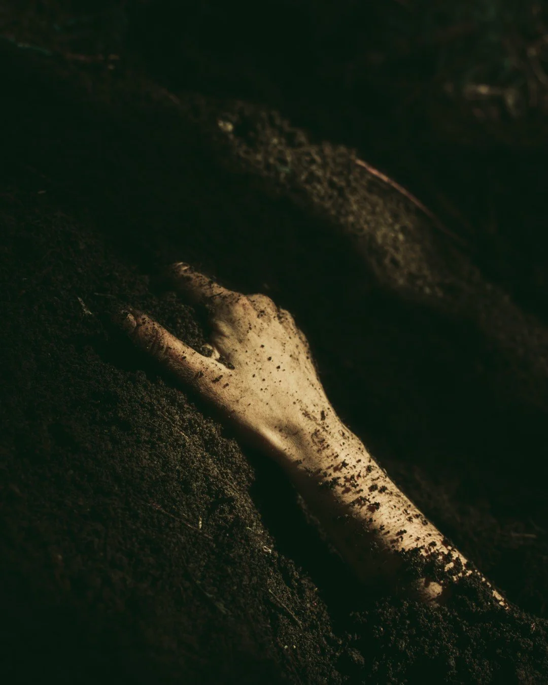 Emergence-35 (Large).JPG