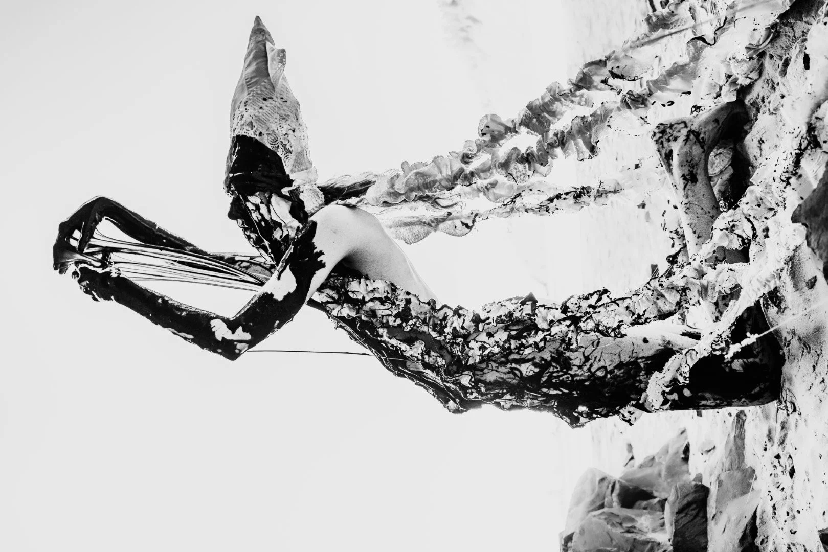 Squid beach-140 (Large).JPG