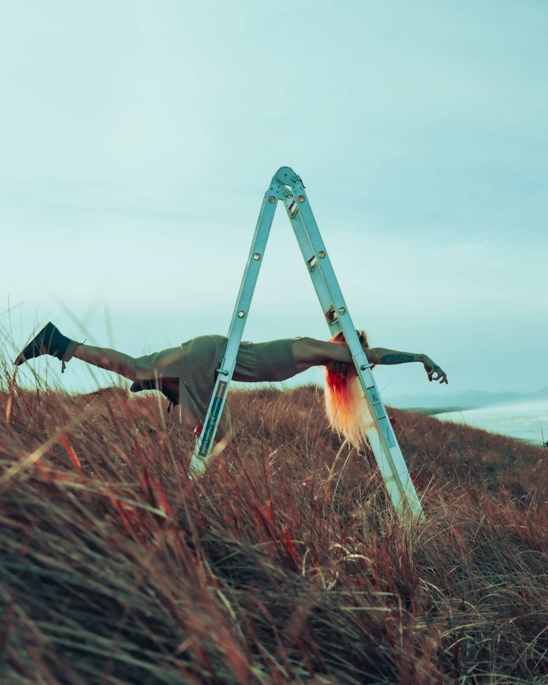 ladder-15 (Large).JPG