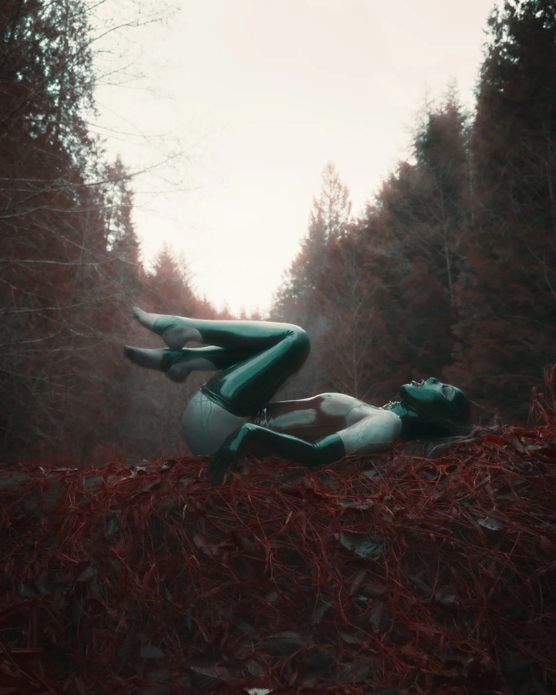 Dani Latex-48 (Large).JPG