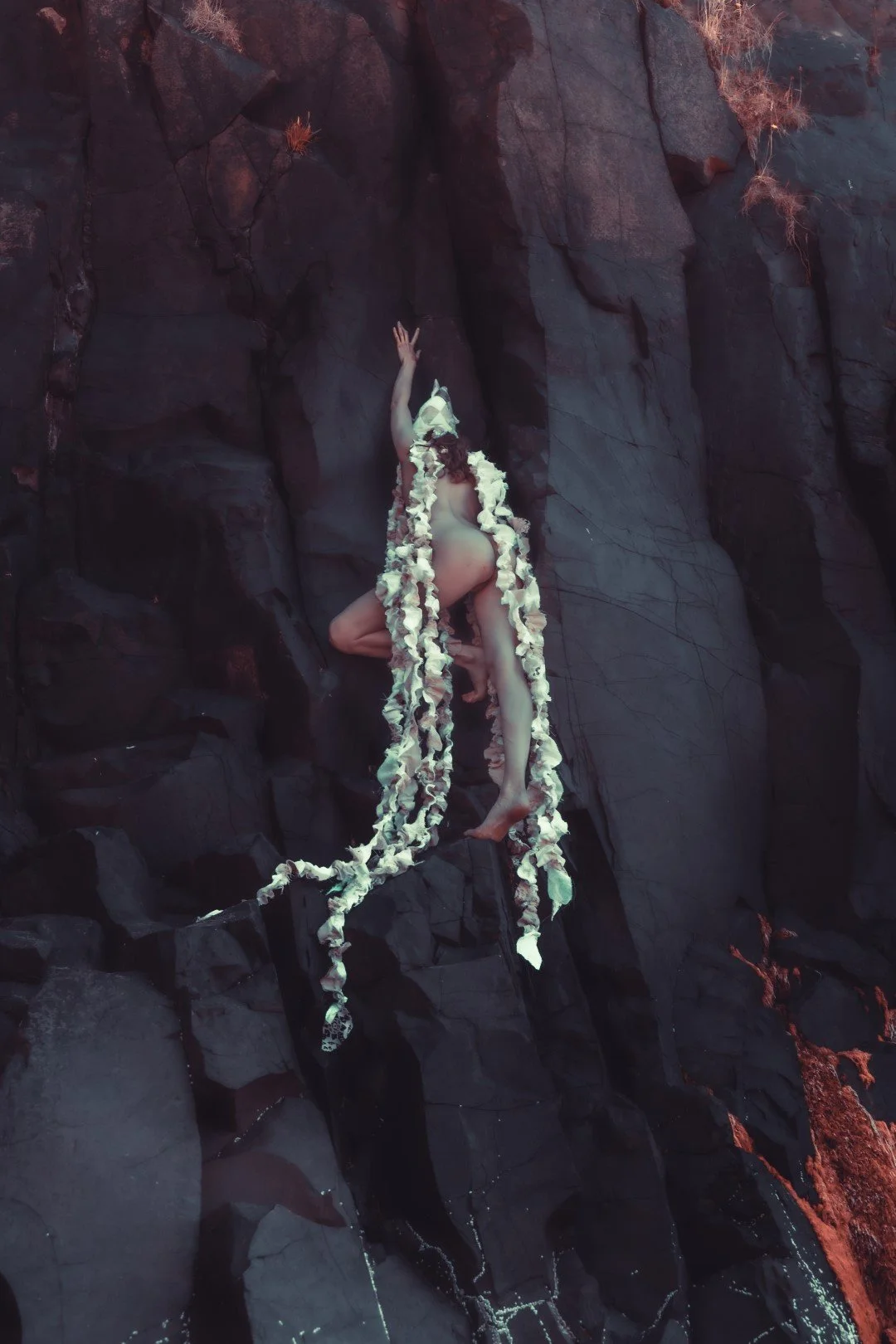 Squid beach-78 (Large).JPG