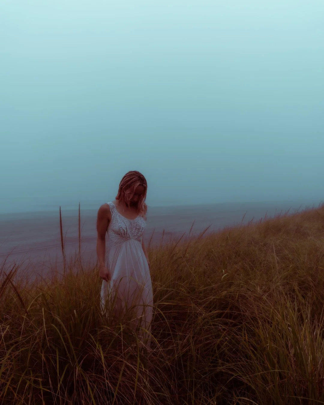 wagon-61 (Large).JPG