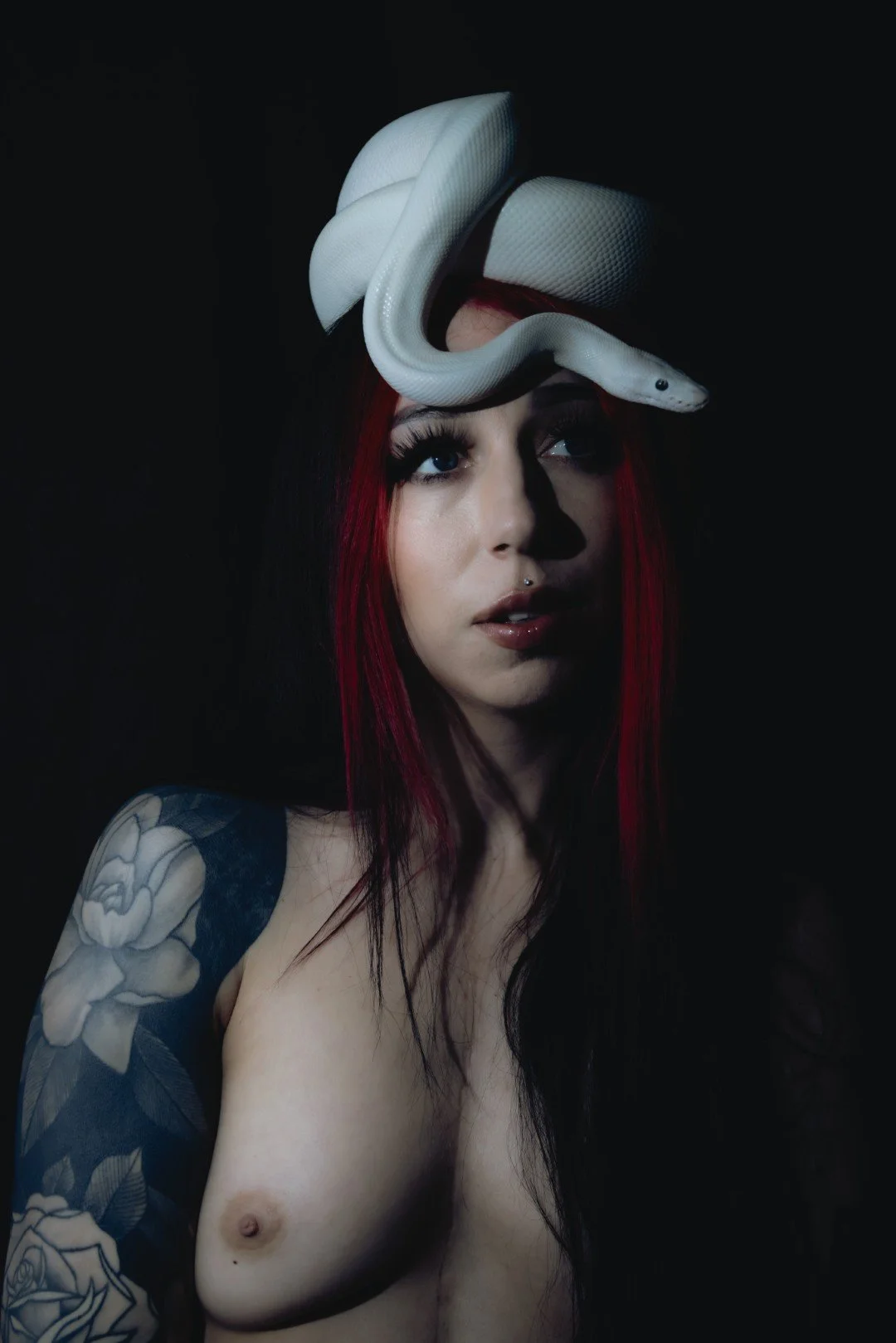 Nyx and Zuzu-60 (Large).JPG