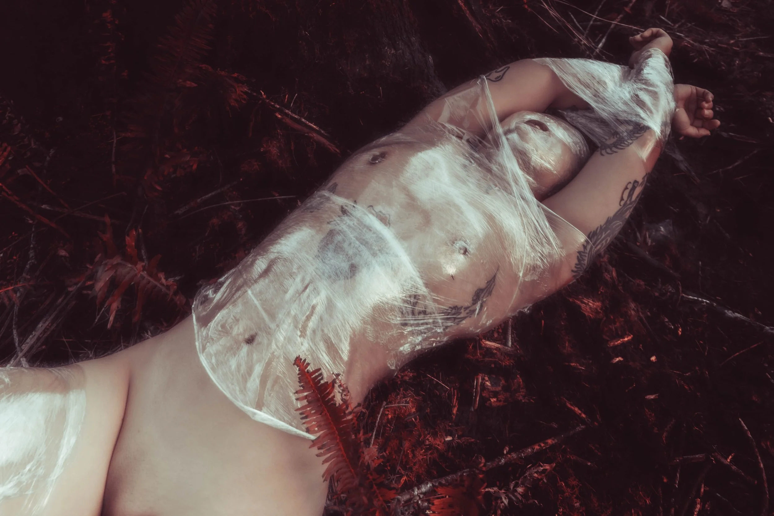 Saran Wrap Tree-4.jpg