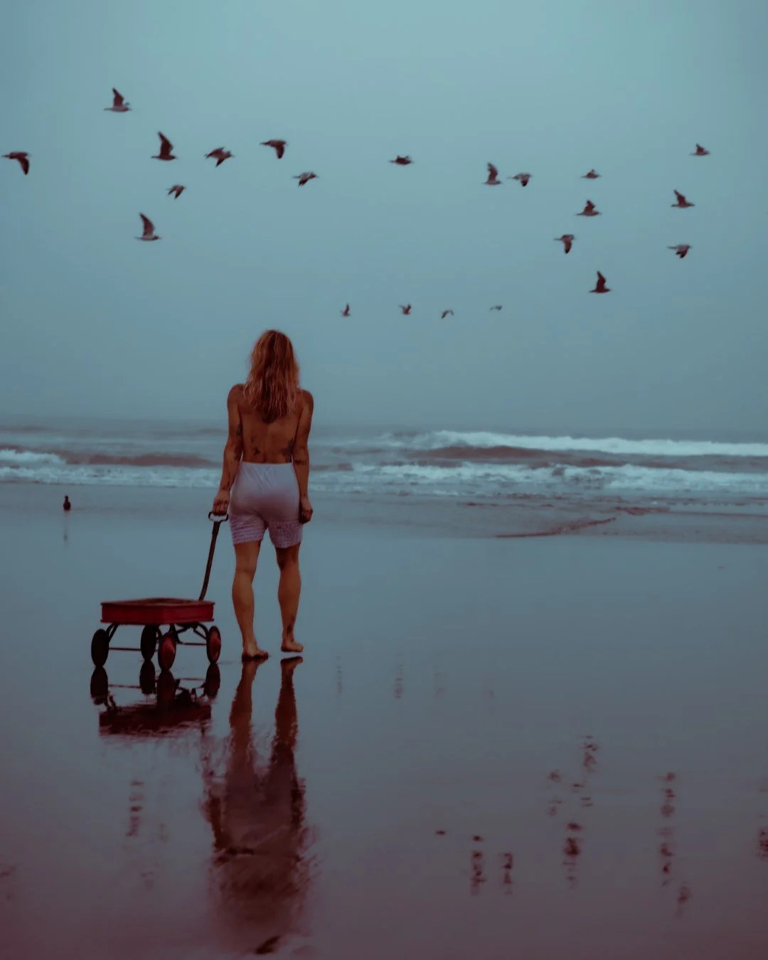 wagon-46 (Large).JPG