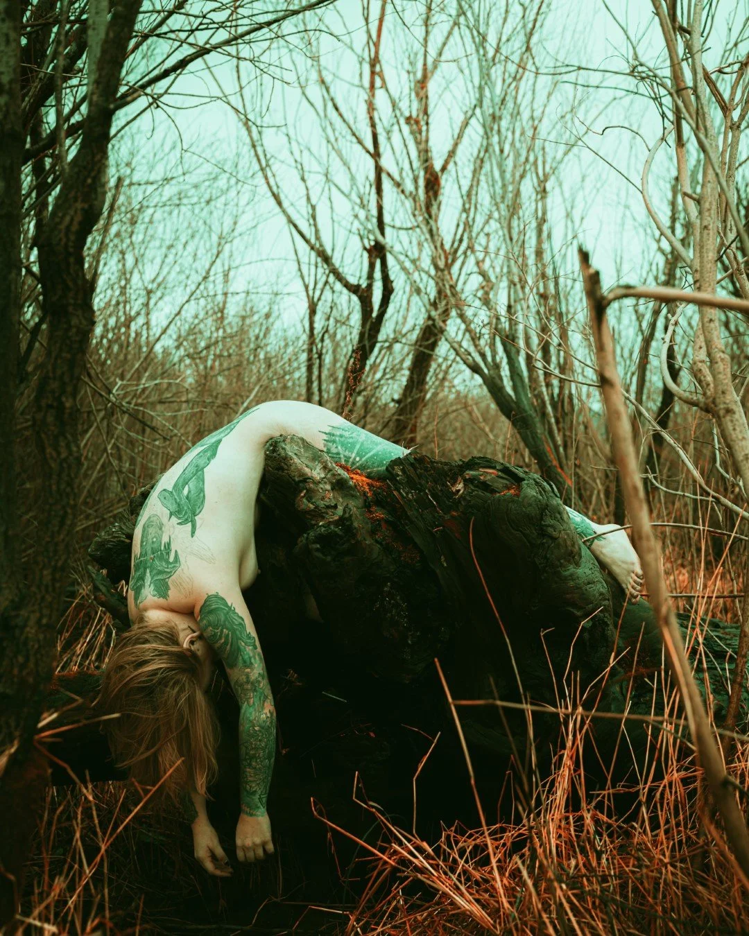 Rooster rock-10 (Large).JPG