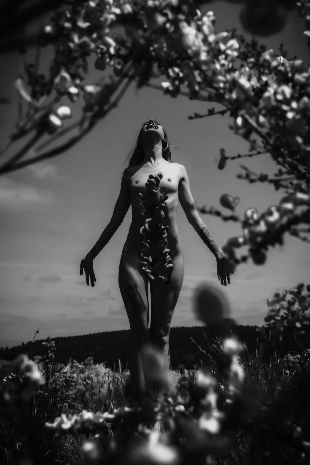 morphed-9 (Large).JPG