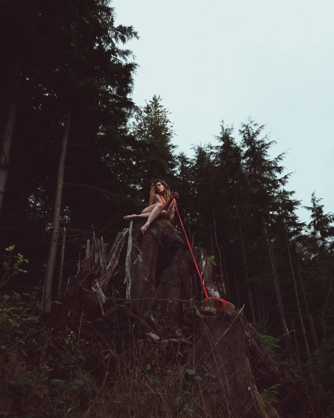 Burdened-14 (Large).JPG