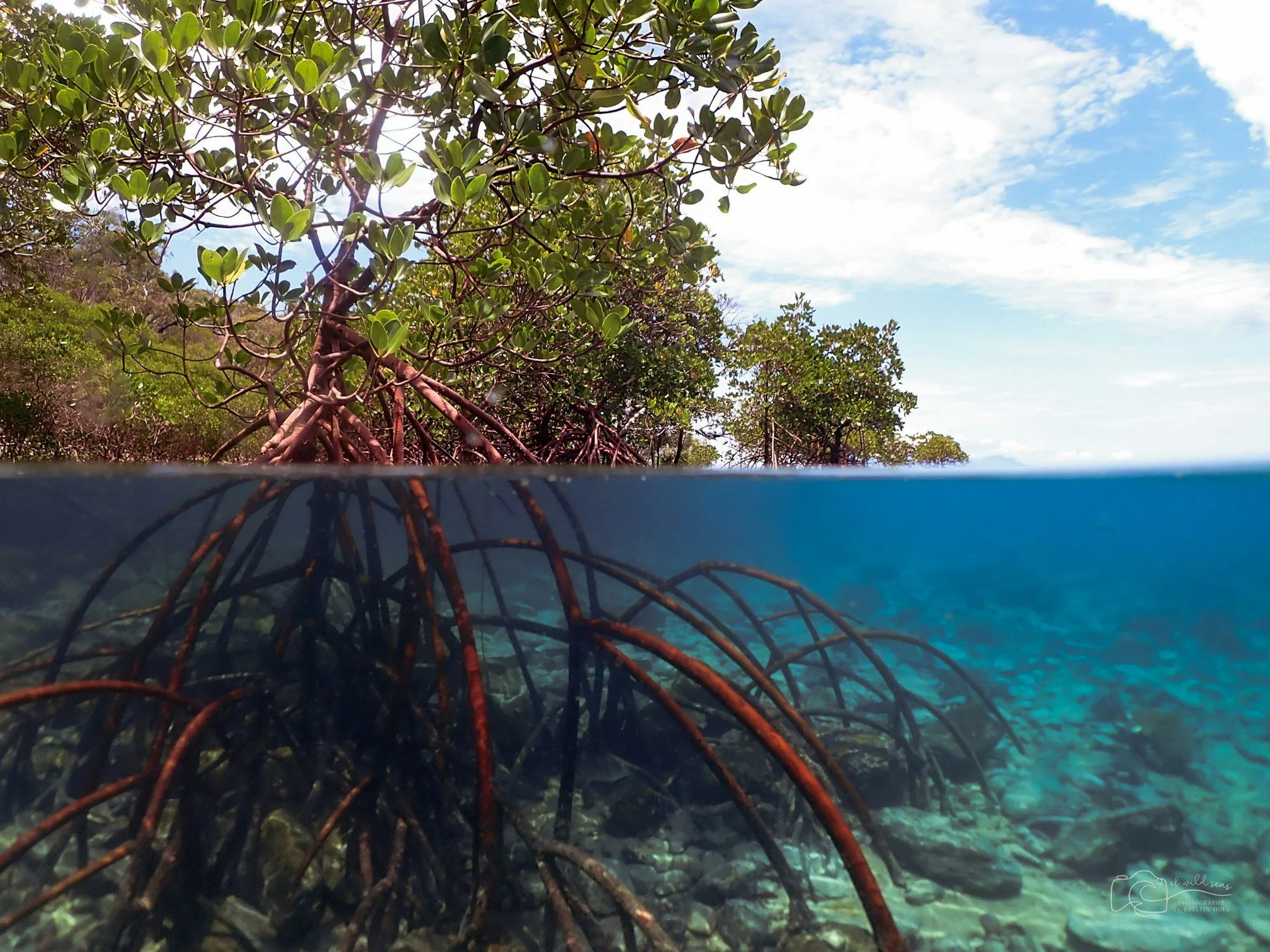 The Hidden Self-Preservation Behind the UK’s Blue Investments in the Philippines 