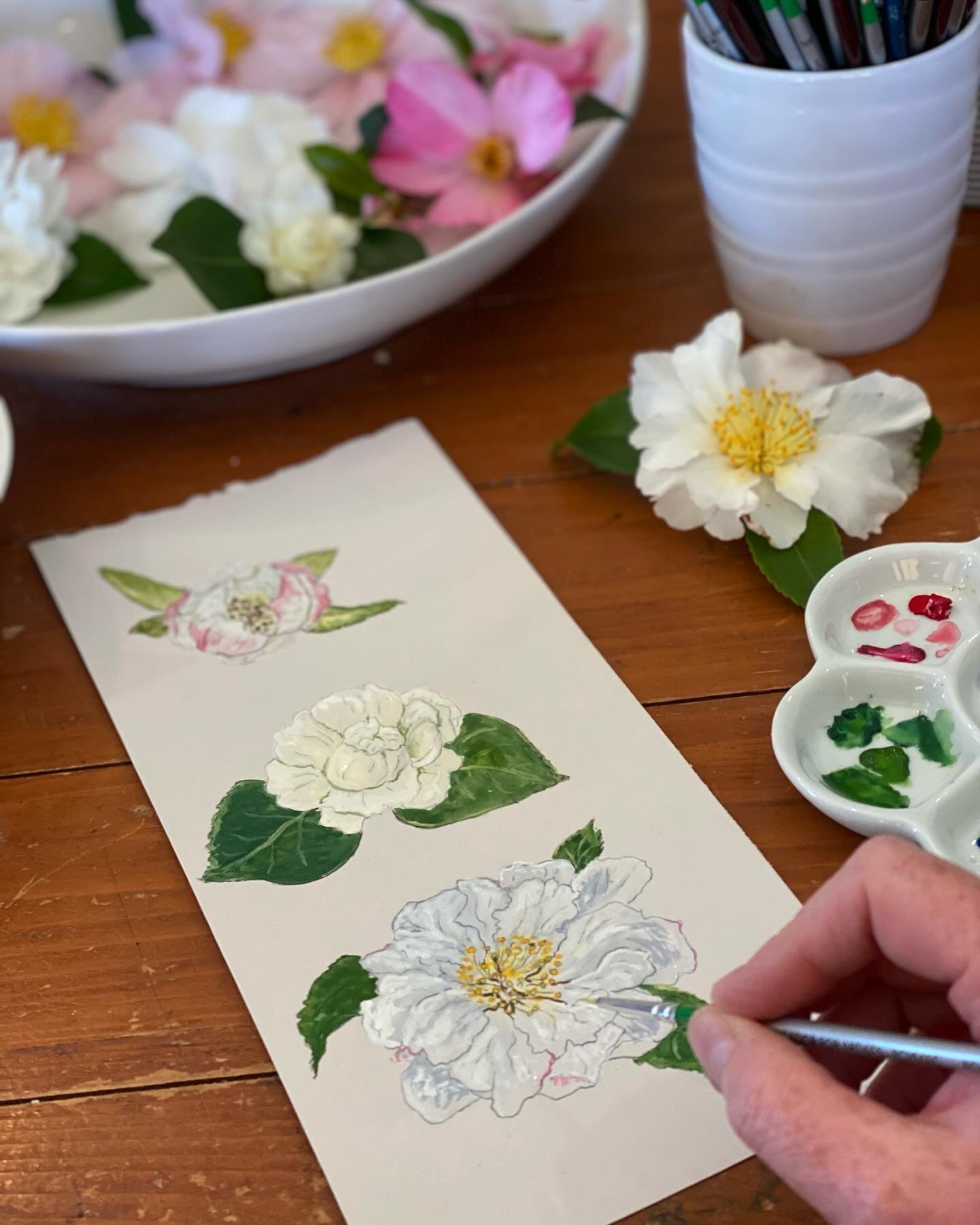 A little prep yesterday for a talk I am giving at the Camellia Society this weekend, about painting flowers. I had to work quickly before all the petals fell. I love painting flowers..

There are still a few places left in my workshop on the 12 May i