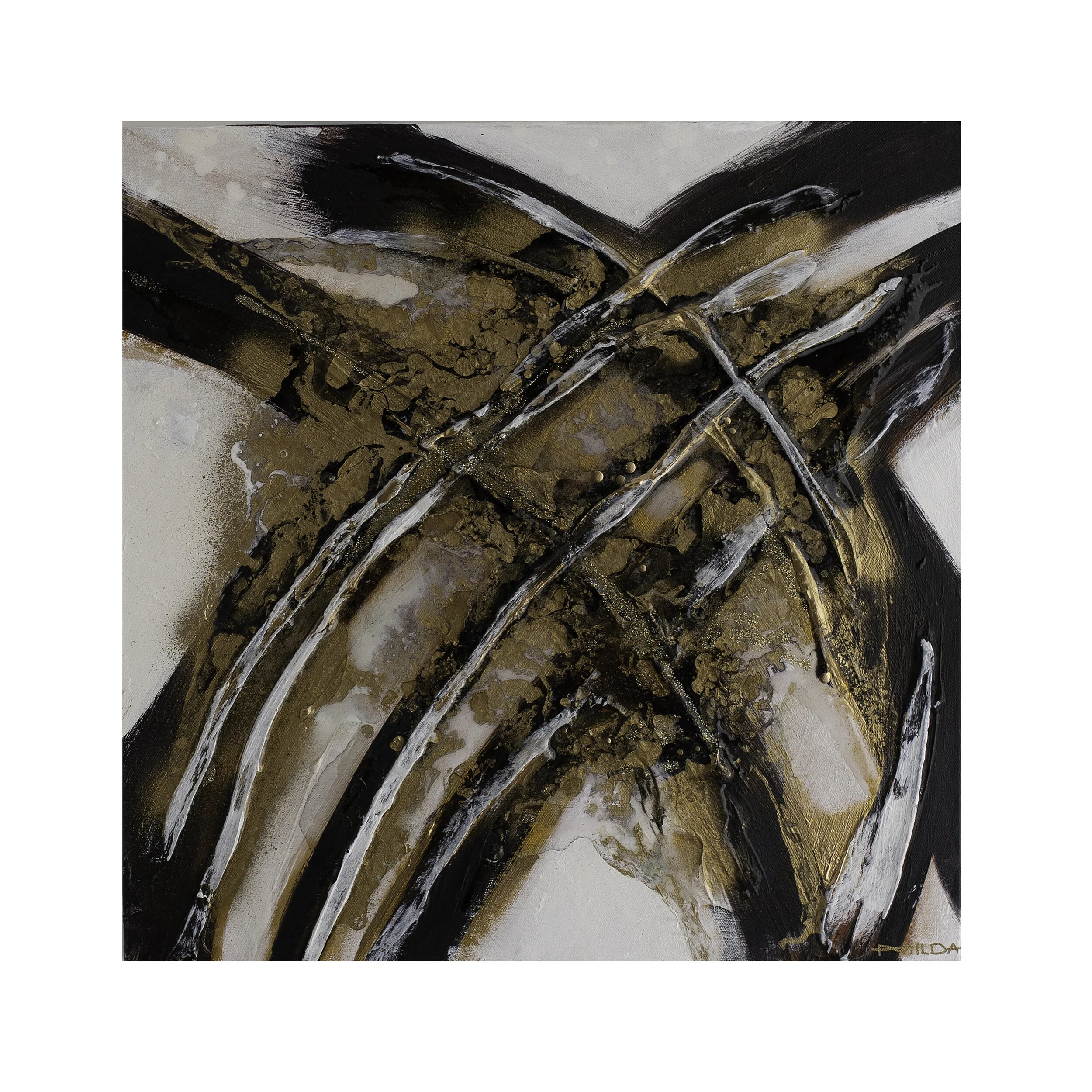 IN THE NATURE I BELIEVE