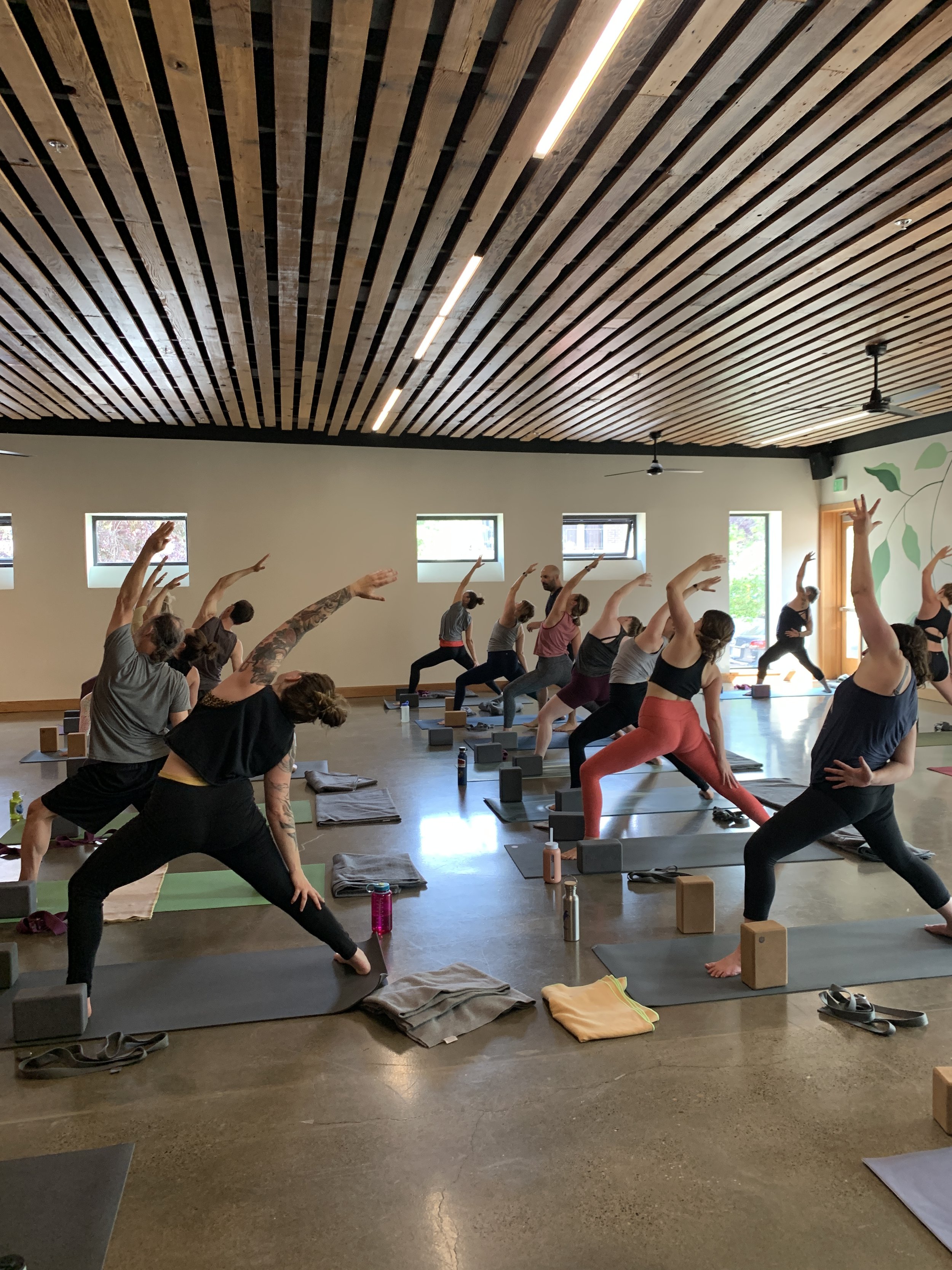Yoga Classes | Hot Yoga Studio in Southeast Portland | Hatha, Vinyasa ...