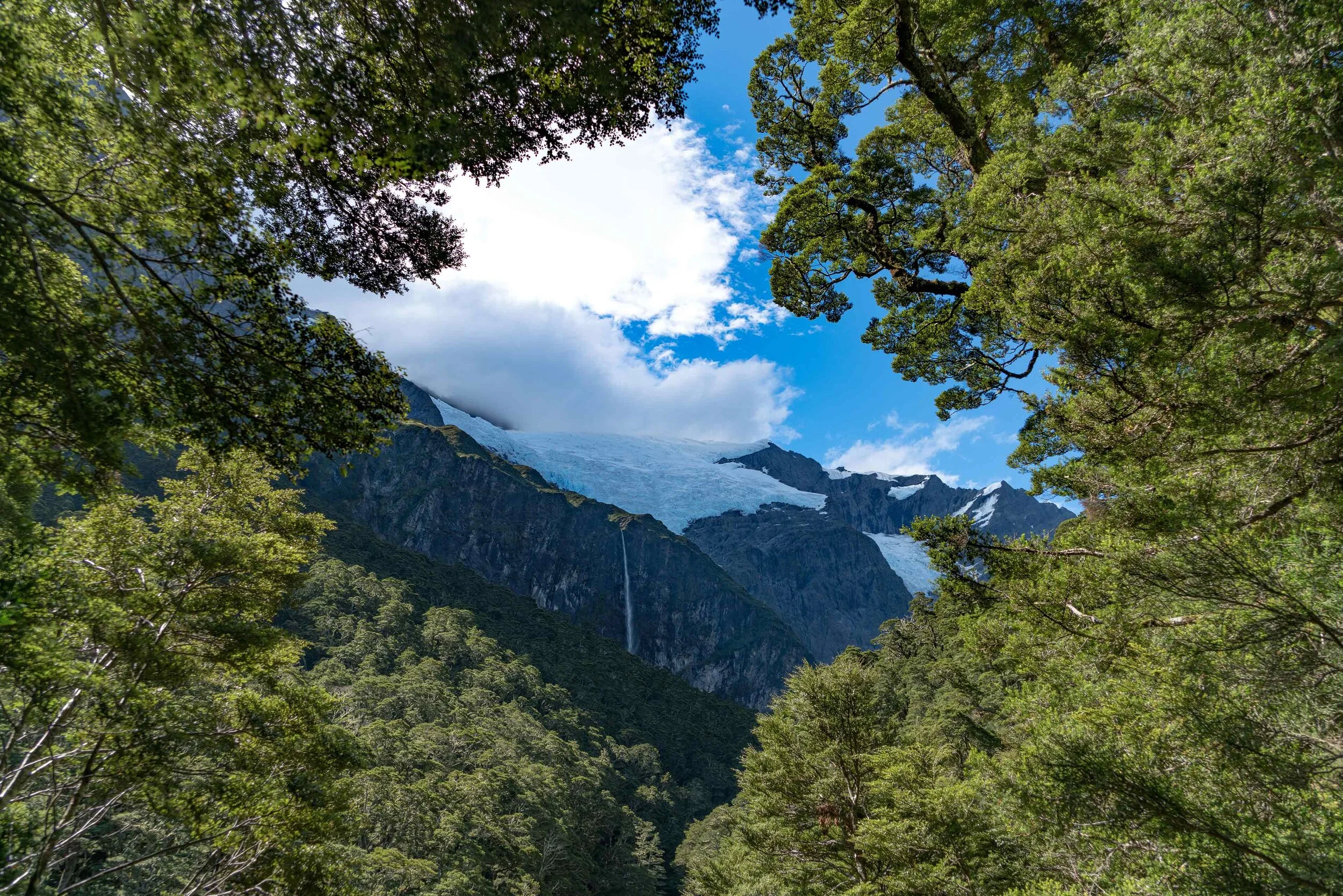 Play At Home Escape Room Game — Escape Quest Queenstown Escape Rooms