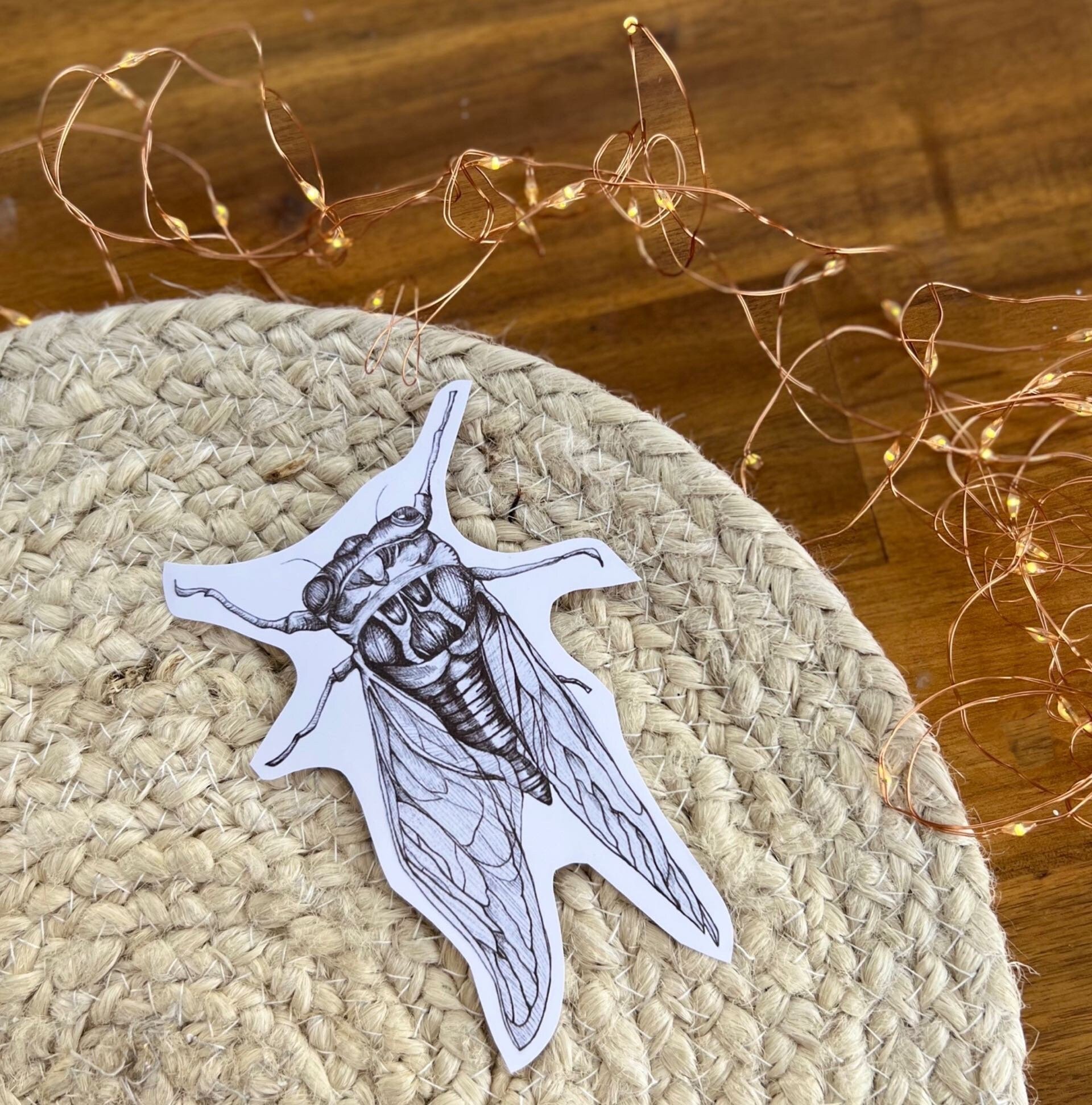 https://i.etsystatic.com/24416273/r/il/3d8d8d/4687025884/il_fullxfull.4687025884_77dz.jpg
