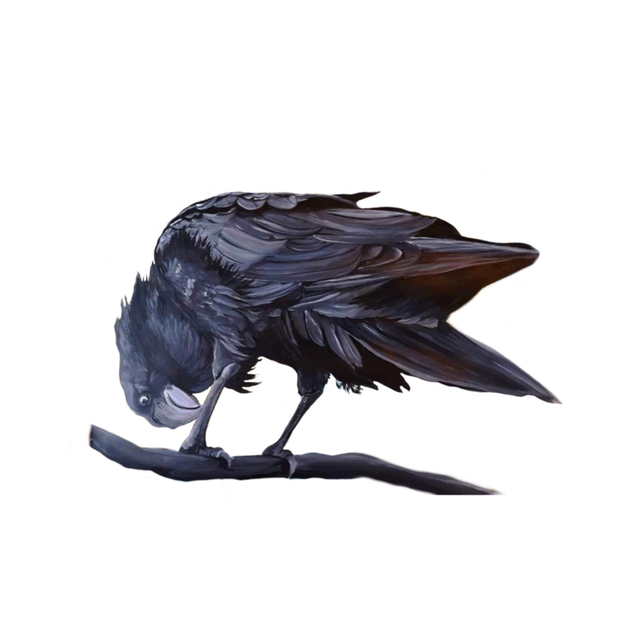 https://i.etsystatic.com/24416273/r/il/e46b5b/4770430441/il_fullxfull.4770430441_oi85.jpg