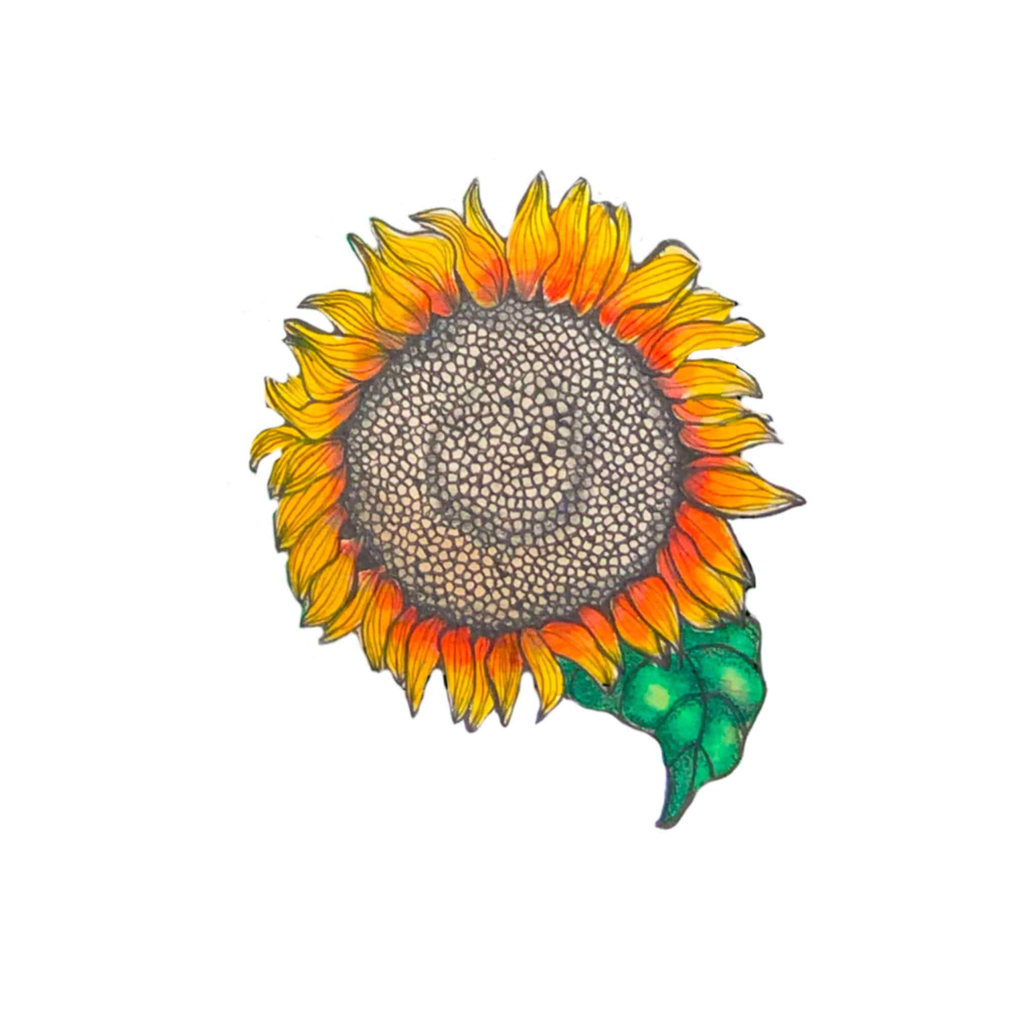 https://i.etsystatic.com/24416273/r/il/8c30e6/4861325141/il_fullxfull.4861325141_8fdy.jpg