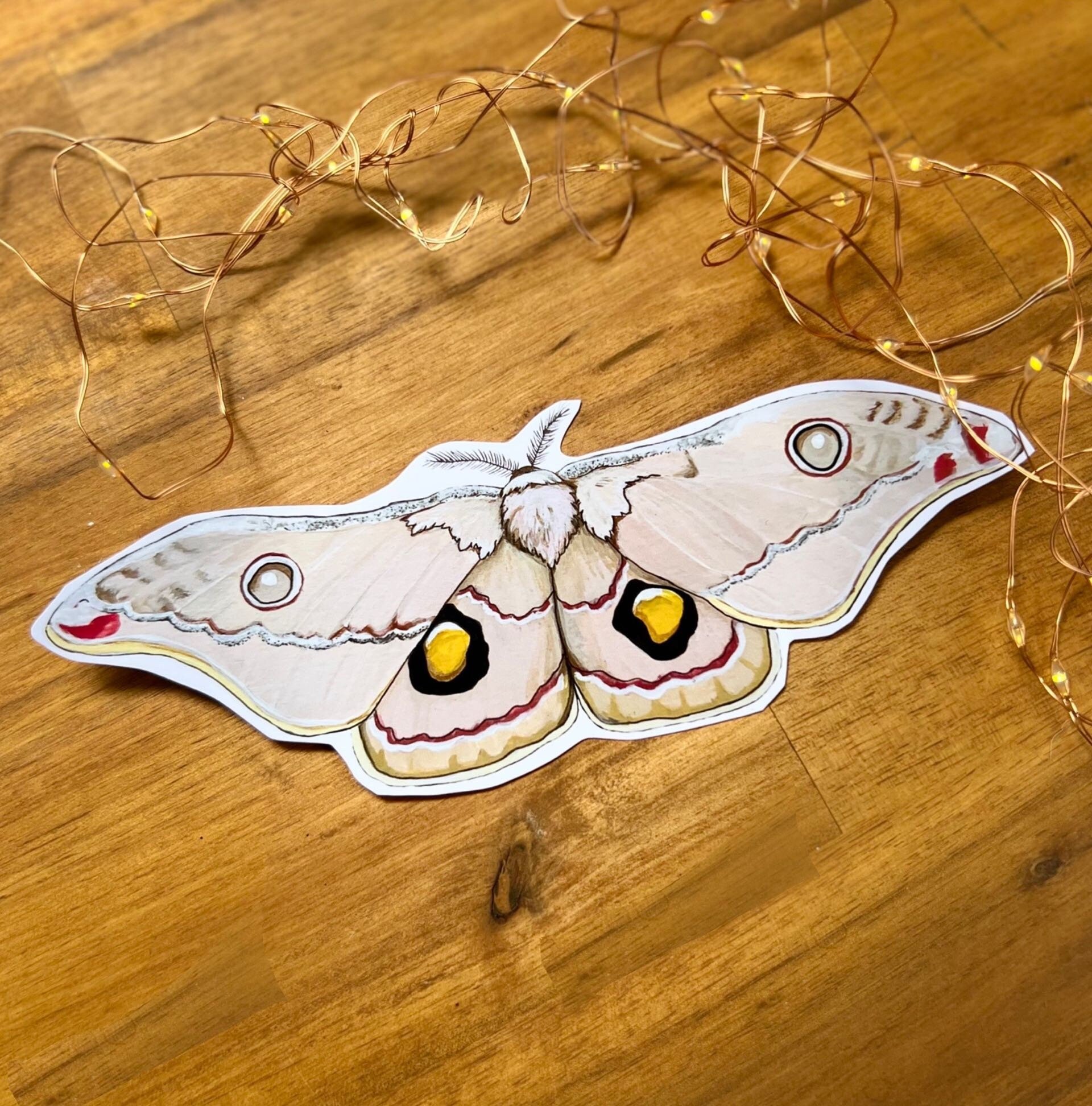 https://i.etsystatic.com/24416273/r/il/f81c6e/4817063912/il_fullxfull.4817063912_80yw.jpg