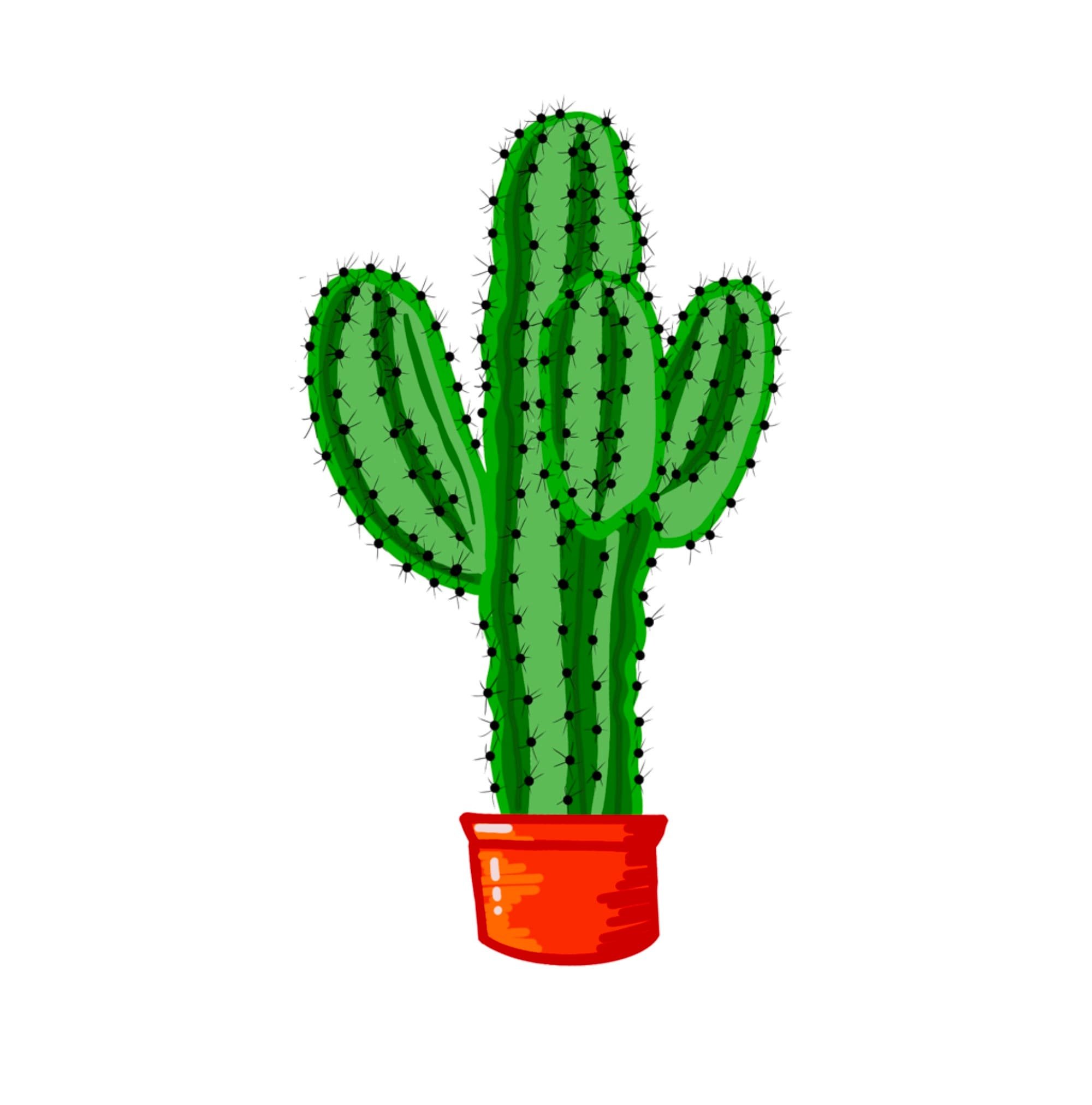 https://i.etsystatic.com/24416273/r/il/e278b1/4825340336/il_fullxfull.4825340336_k0wm.jpg