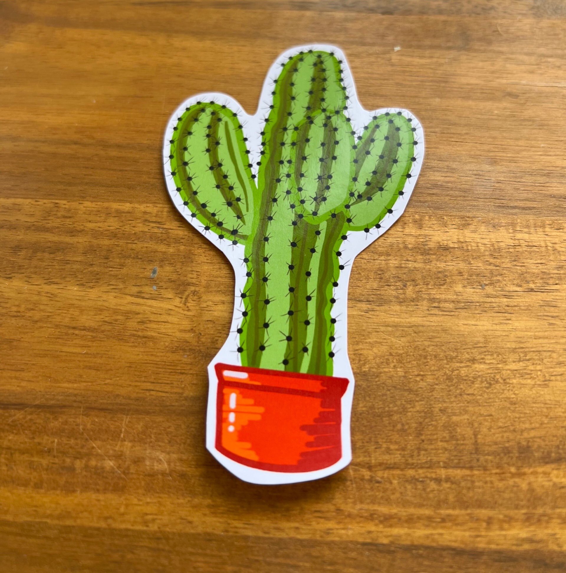 https://i.etsystatic.com/24416273/r/il/cc5220/4873604441/il_fullxfull.4873604441_gte3.jpg