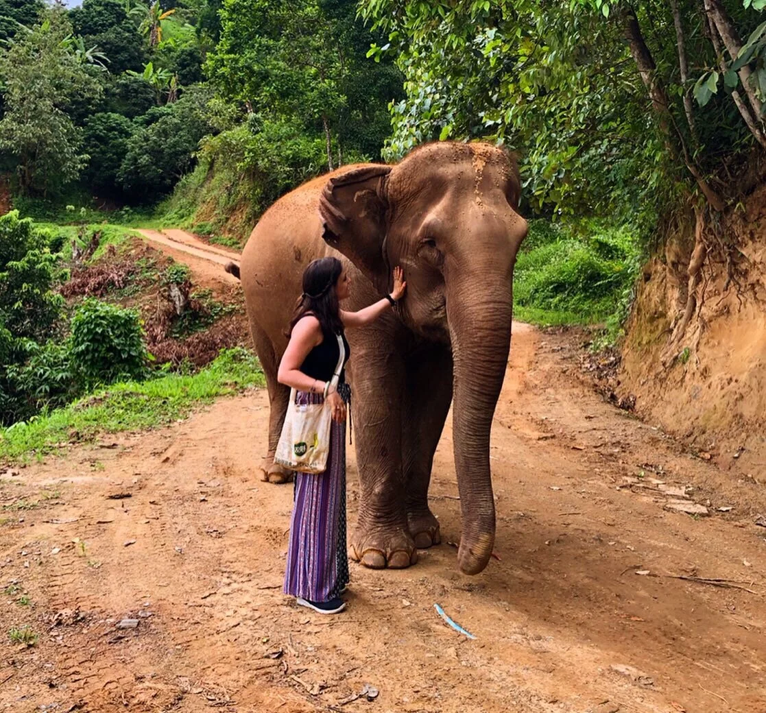 What to Know About Elephant "Sanctuaries" in Thailand