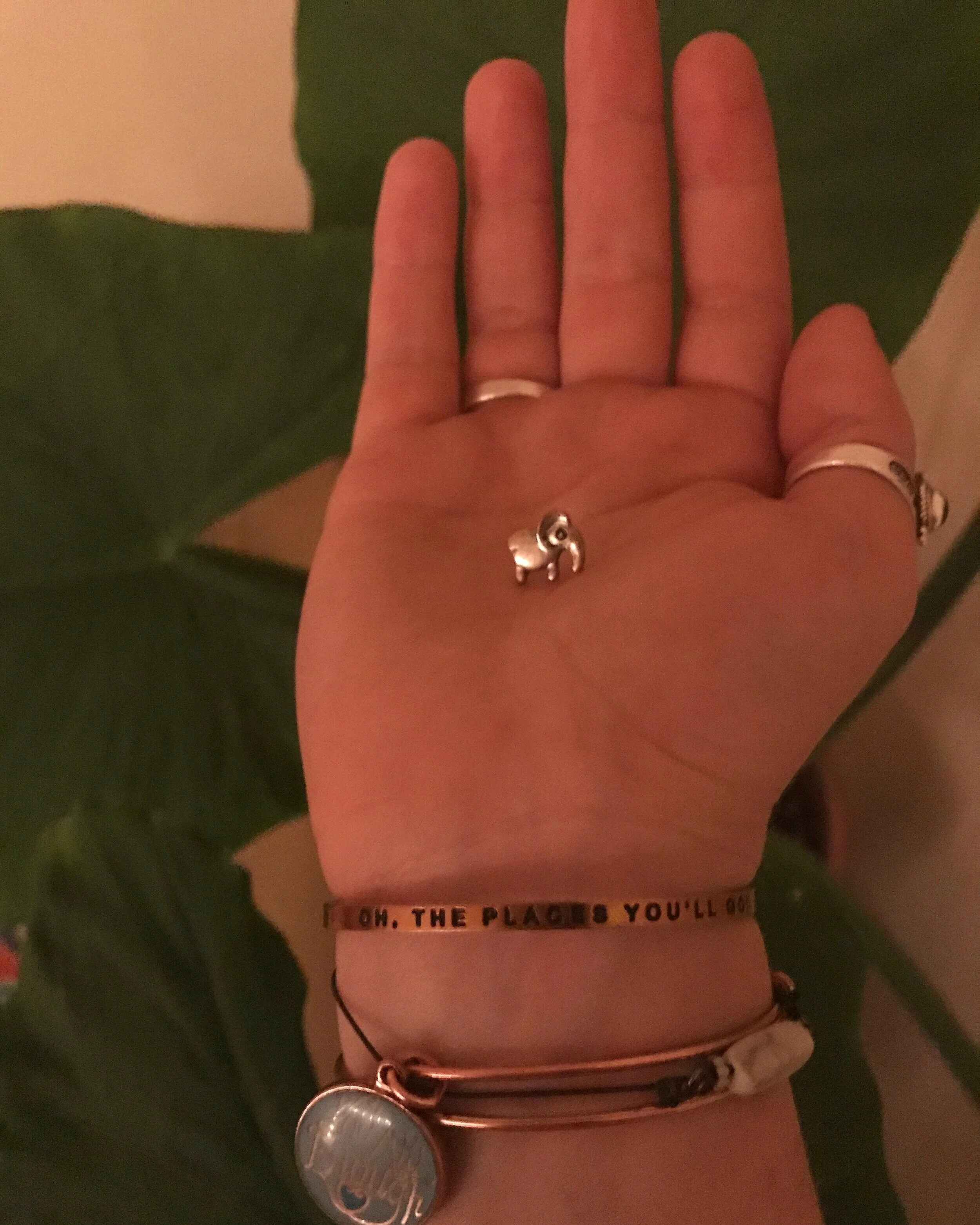 Tiny Elephants