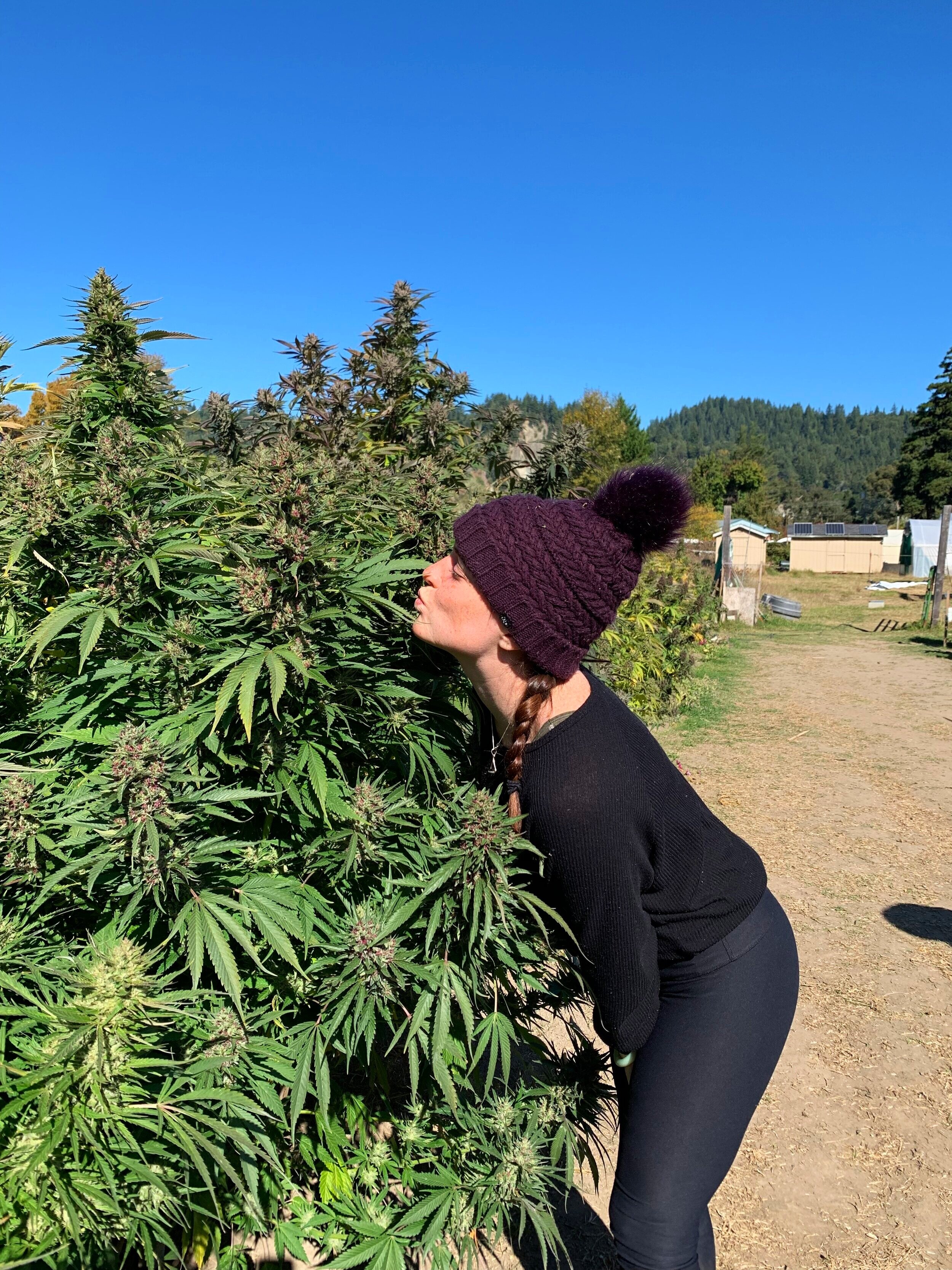 Dirty, Pothead, Hippy