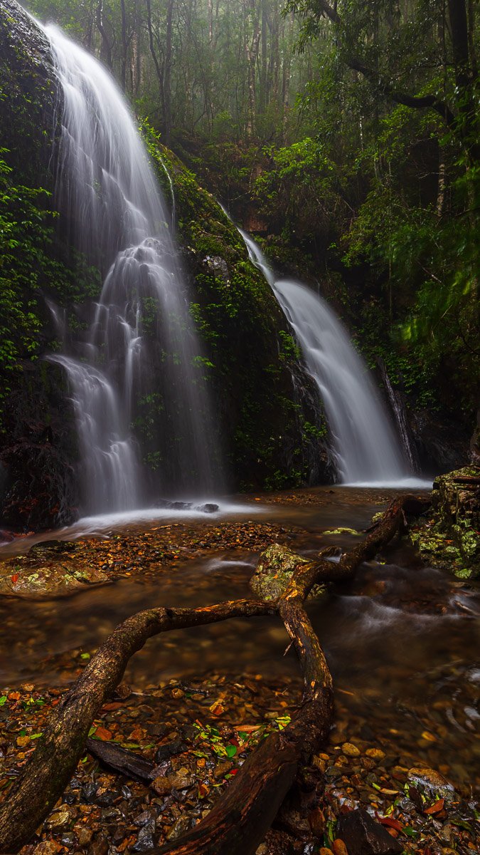 Callicoma Falls - Dorrigo NP, NSW