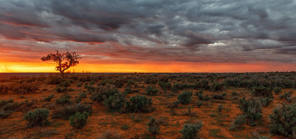 Mungo NP, NSW