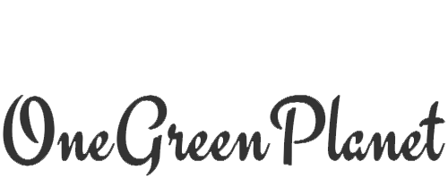 One Green Planet: Buzz

How the man behind Minneapolis' first Black-owned vegan restaurant is fighting for Black Lives Matter