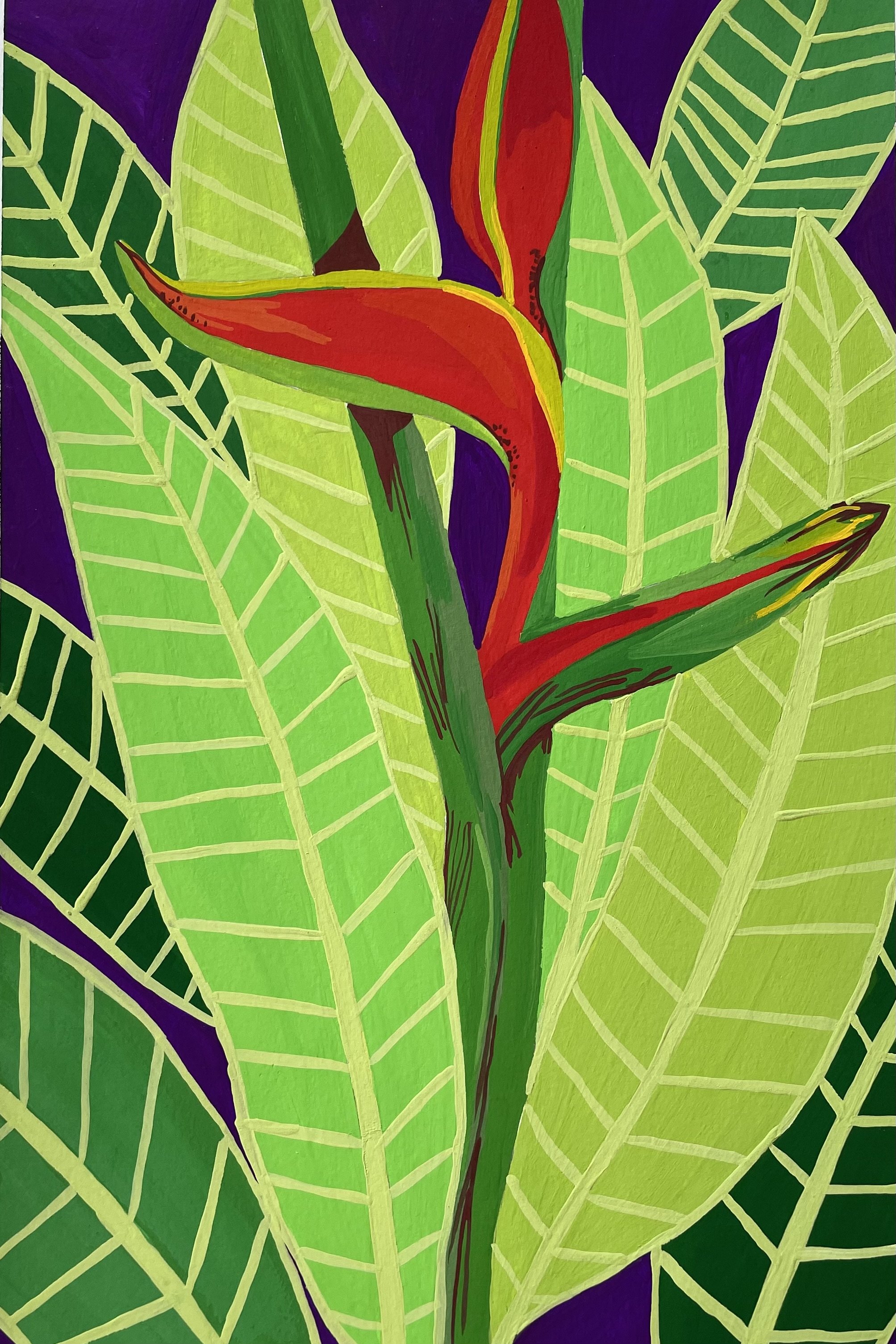 
Heleconia, 21x29,7cm