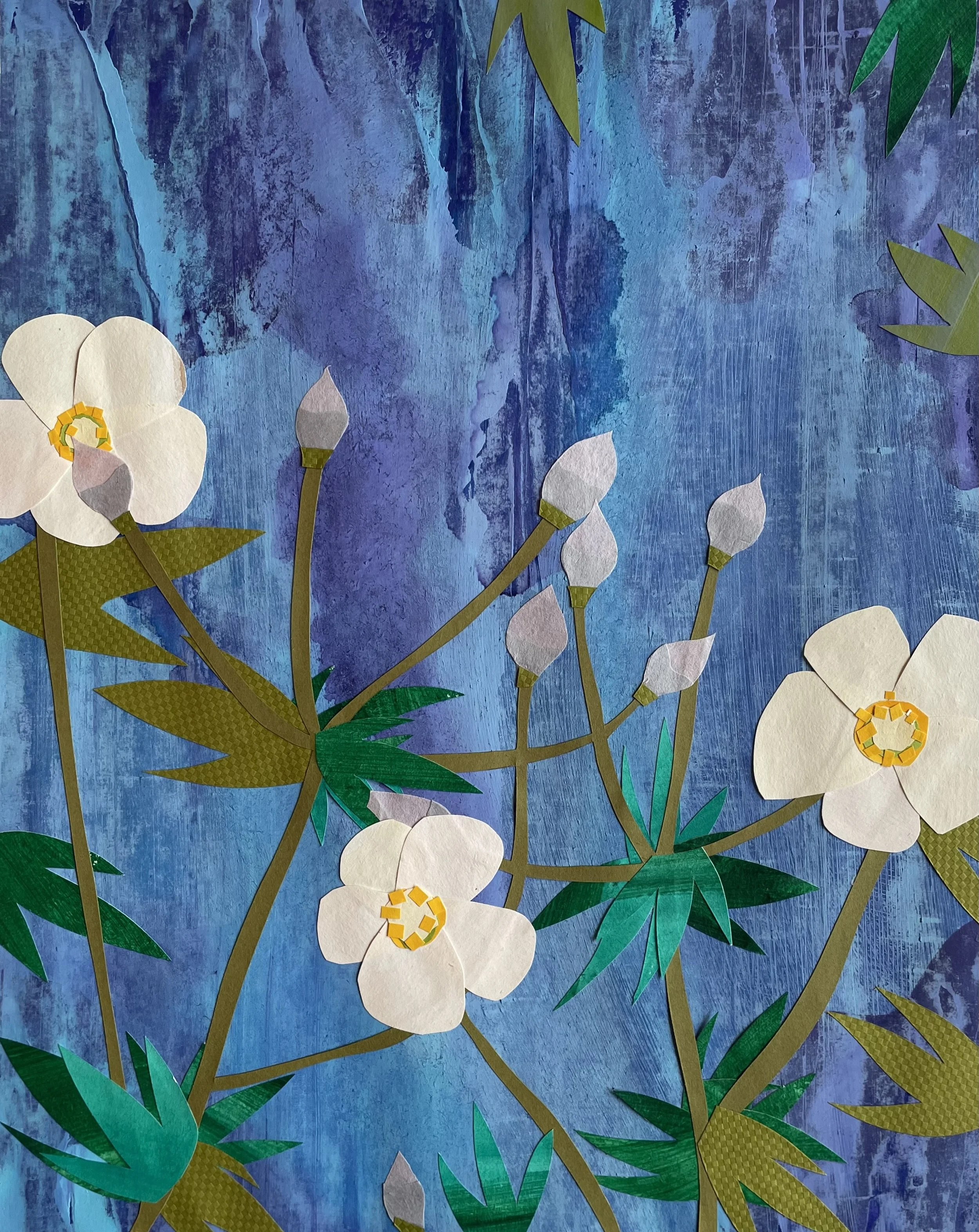 Exotic Flowers