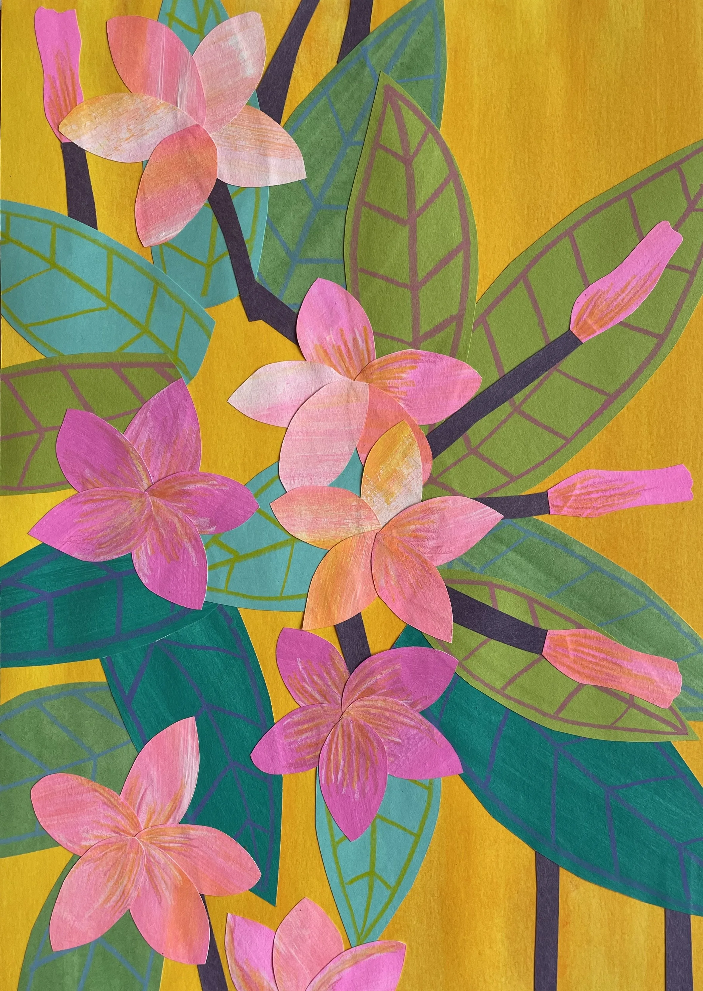 Frangipanier, 21x29,7cm