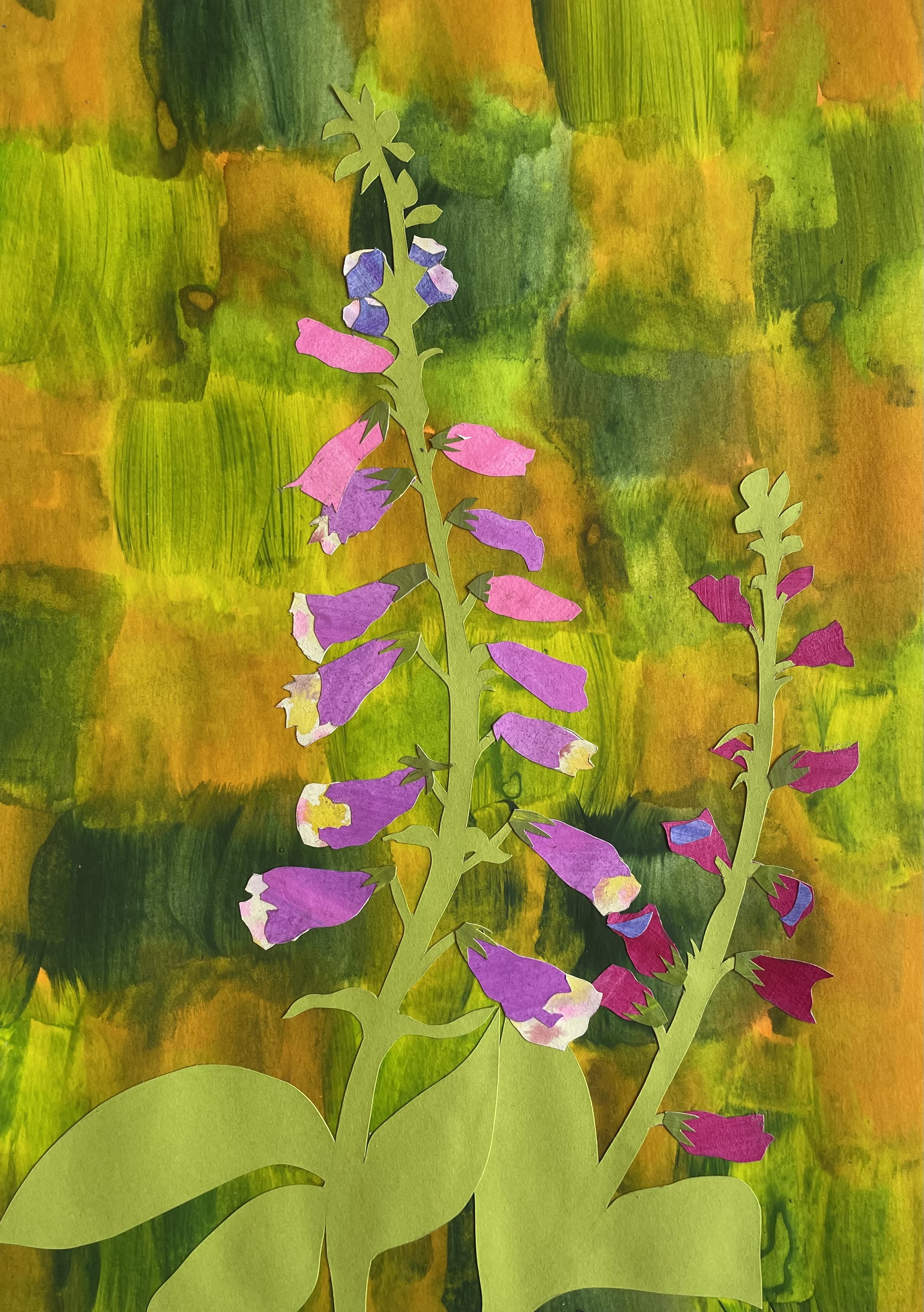 Digitalis, 21x29,7cm