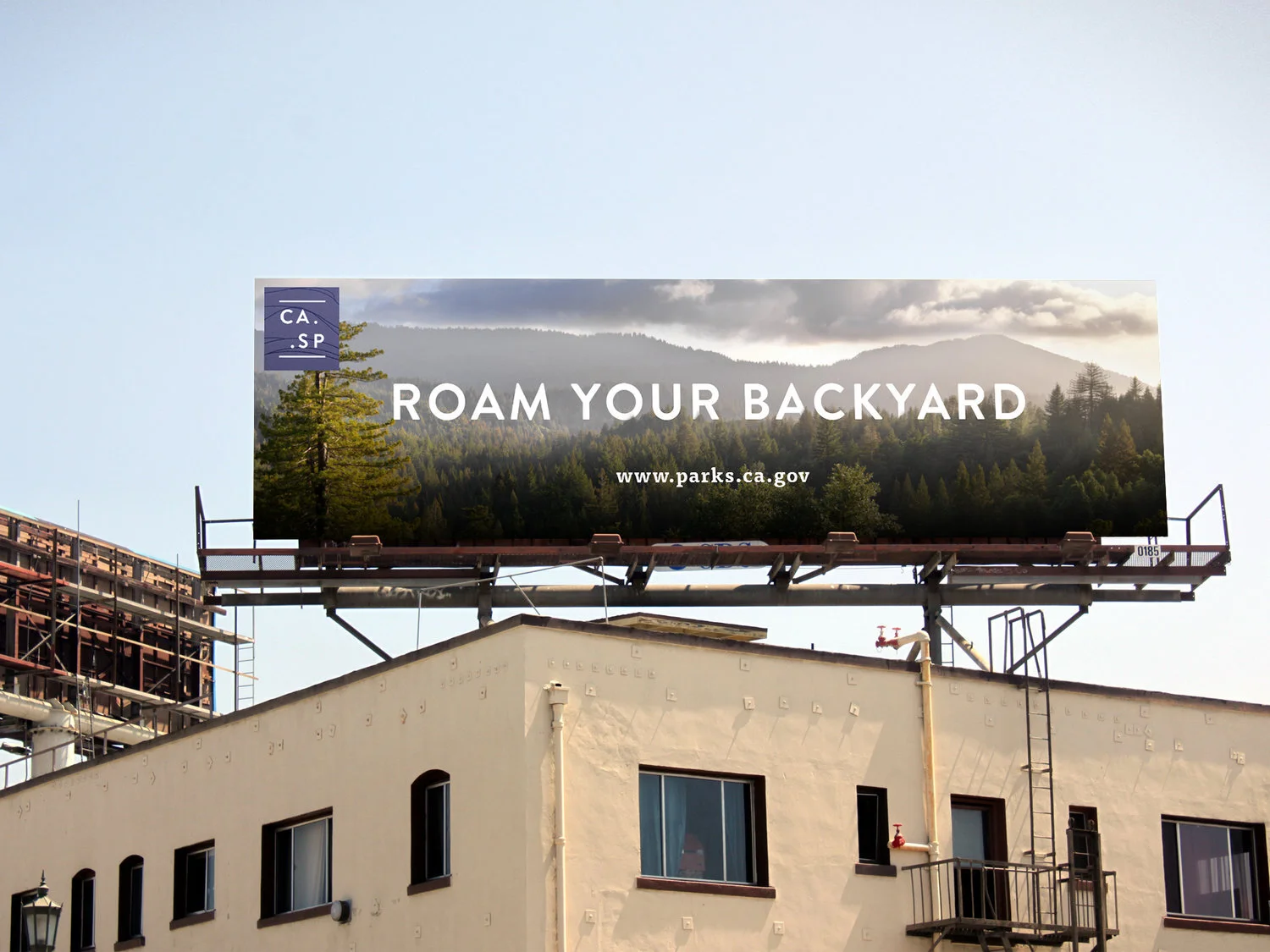 static1.squarespace-2.jpg