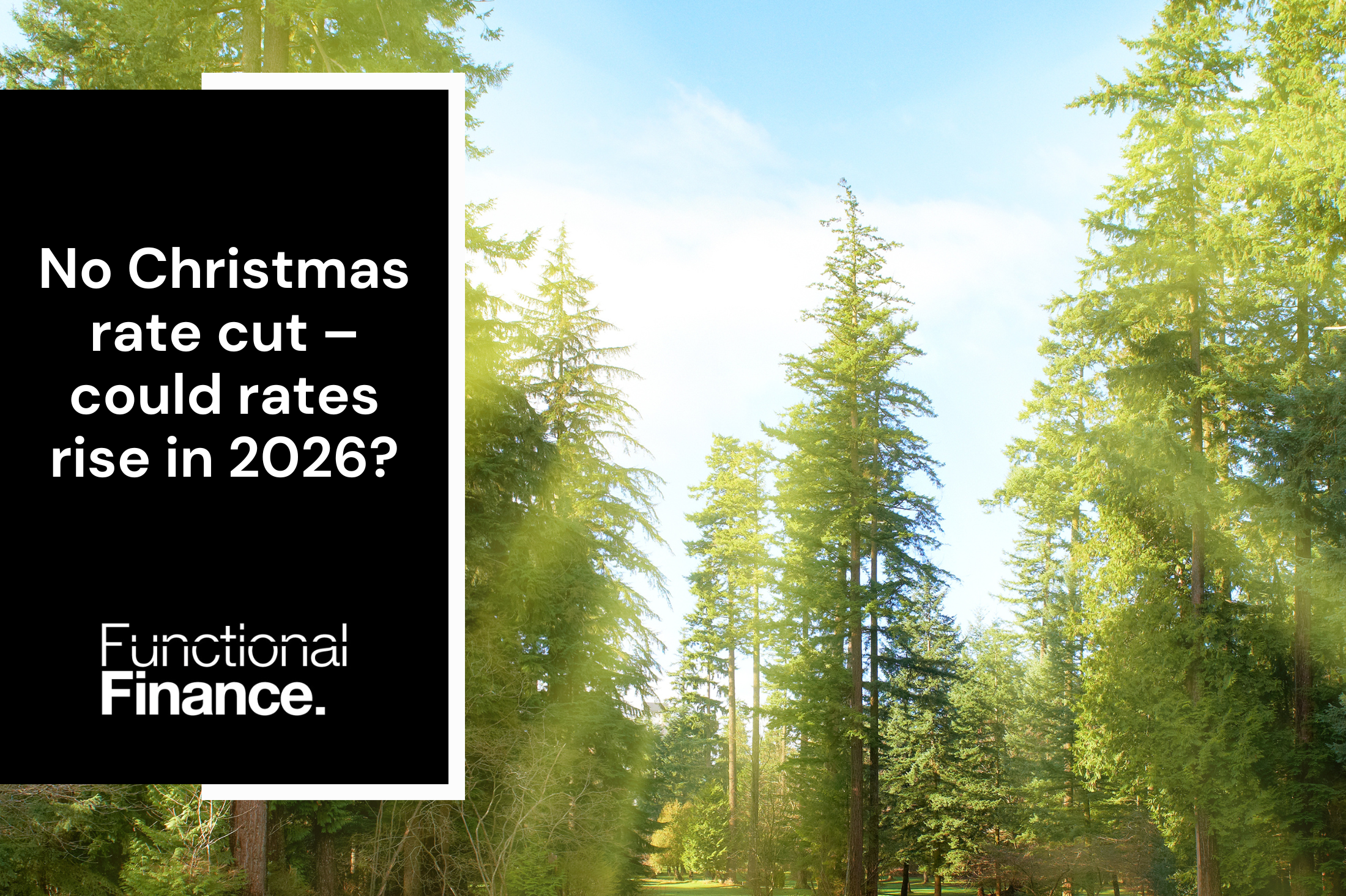 No Christmas rate cut – could rates rise in 2026?