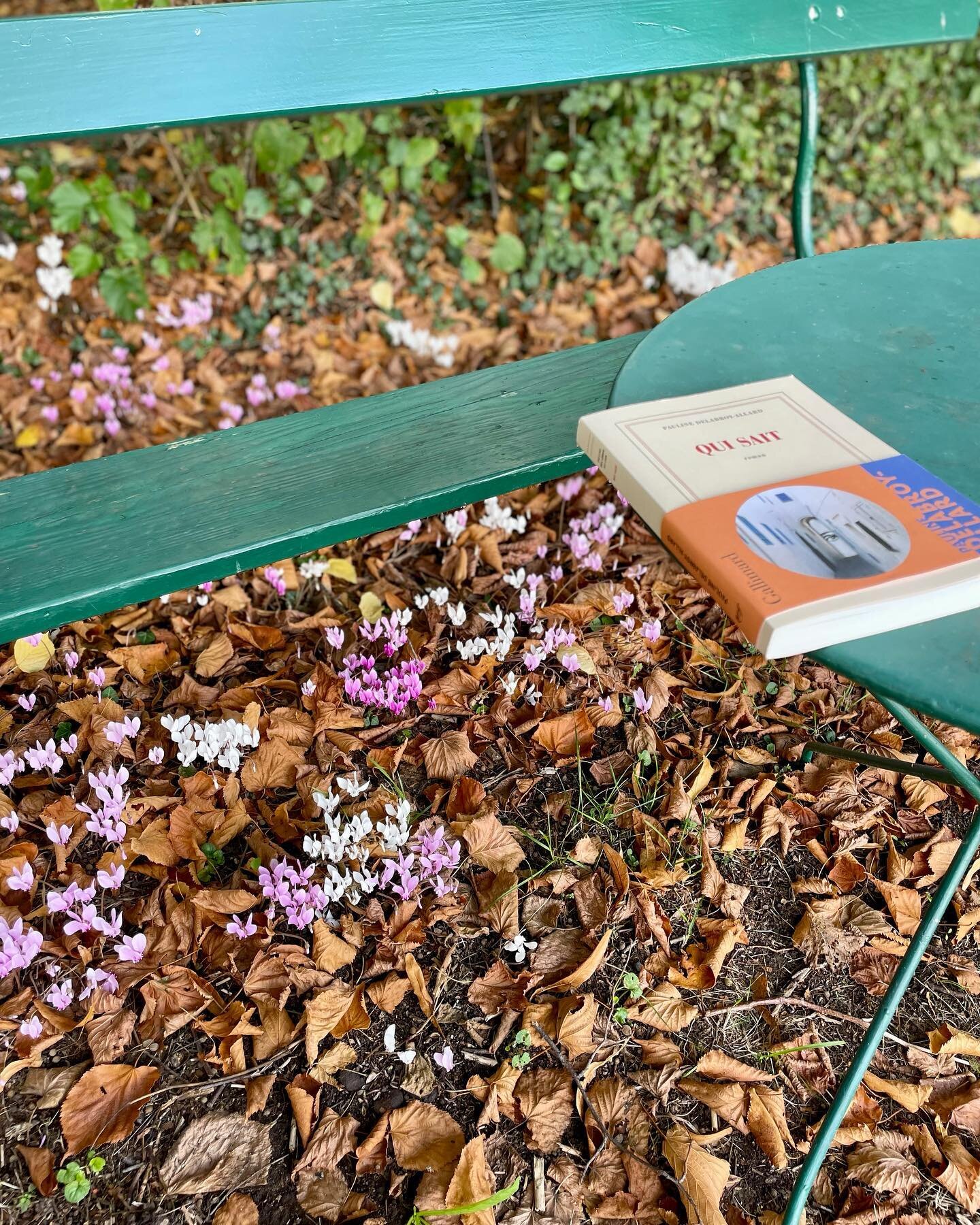 Fantaisie 

&laquo;&nbsp; L&rsquo;abondance de livres nous disperse. La vari&eacute;t&eacute; et la diversit&eacute; des aliments, au lieu de nous nourrir, nous brouillent avec notre estomac. Lis donc sans cesse les auteurs reconnus et, si d&rsquo;av