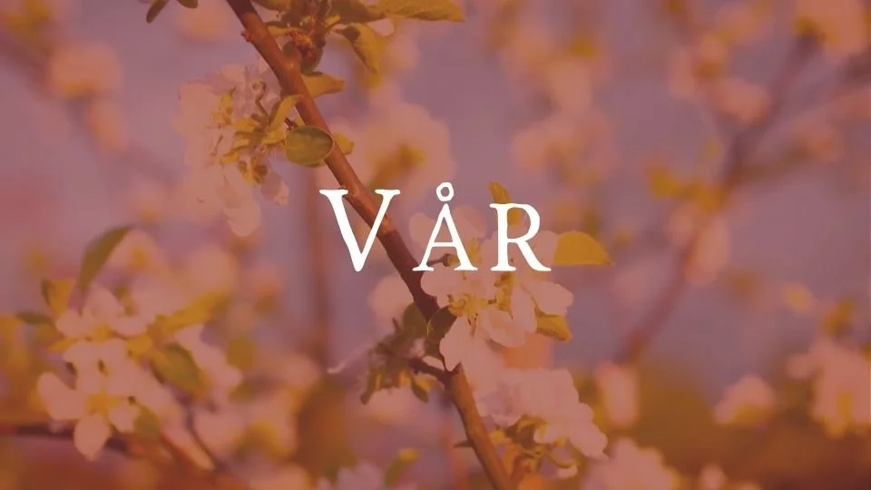 Vår – Follikelfasen