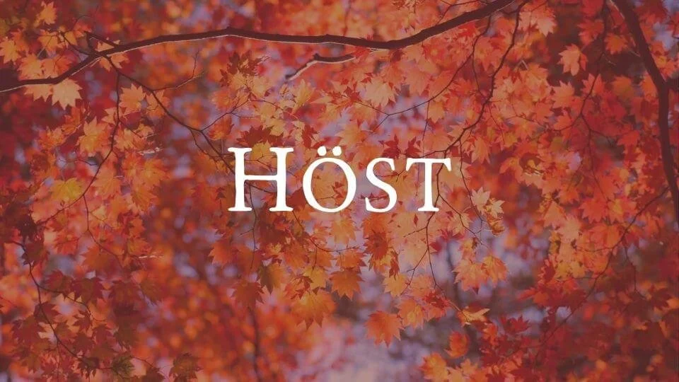 Höst – Lutealfasen