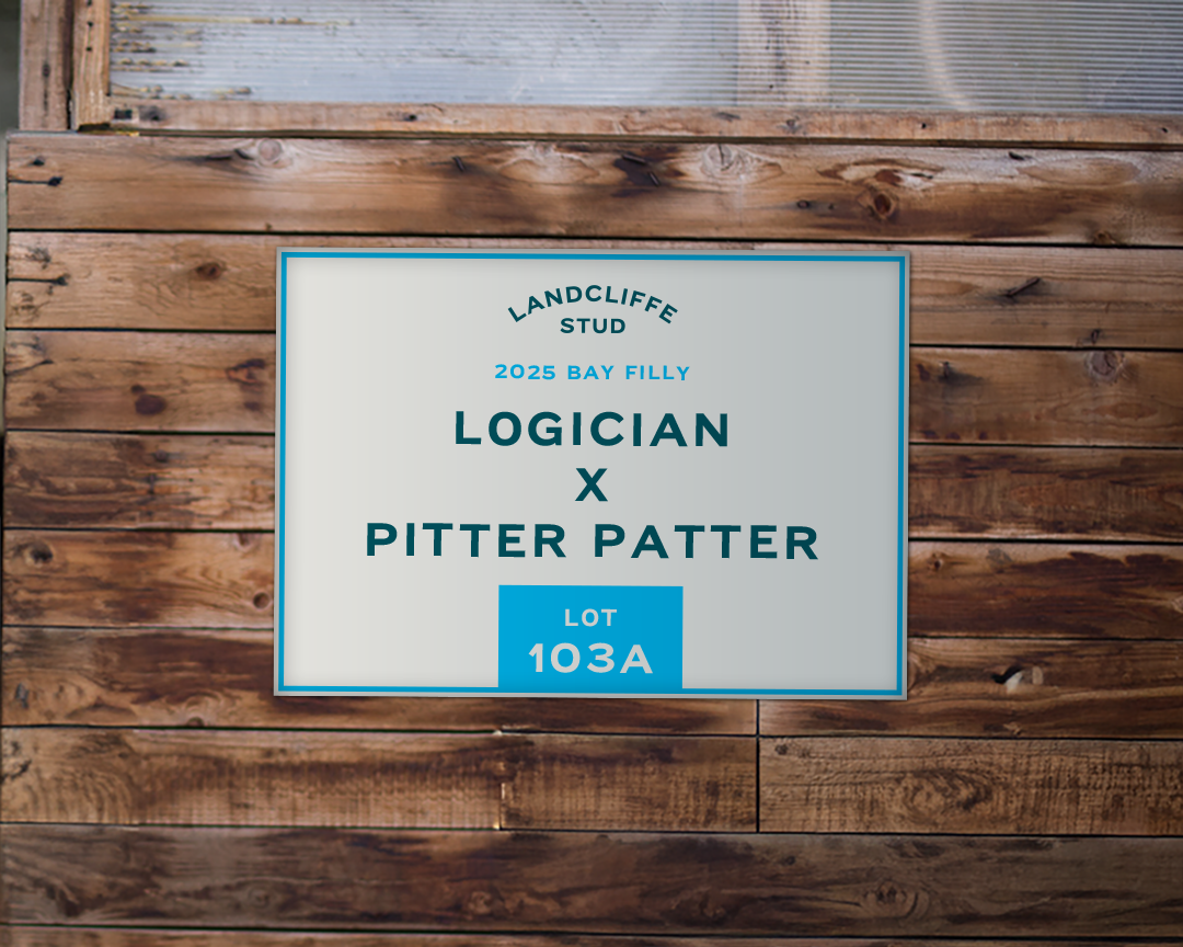 Get a custom stable door banner ready for the next horse sale