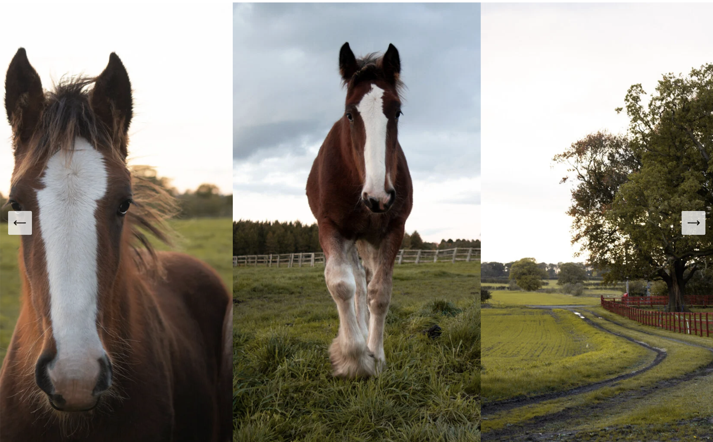 Screenshot 2026-02-16 at 16.18.49.png