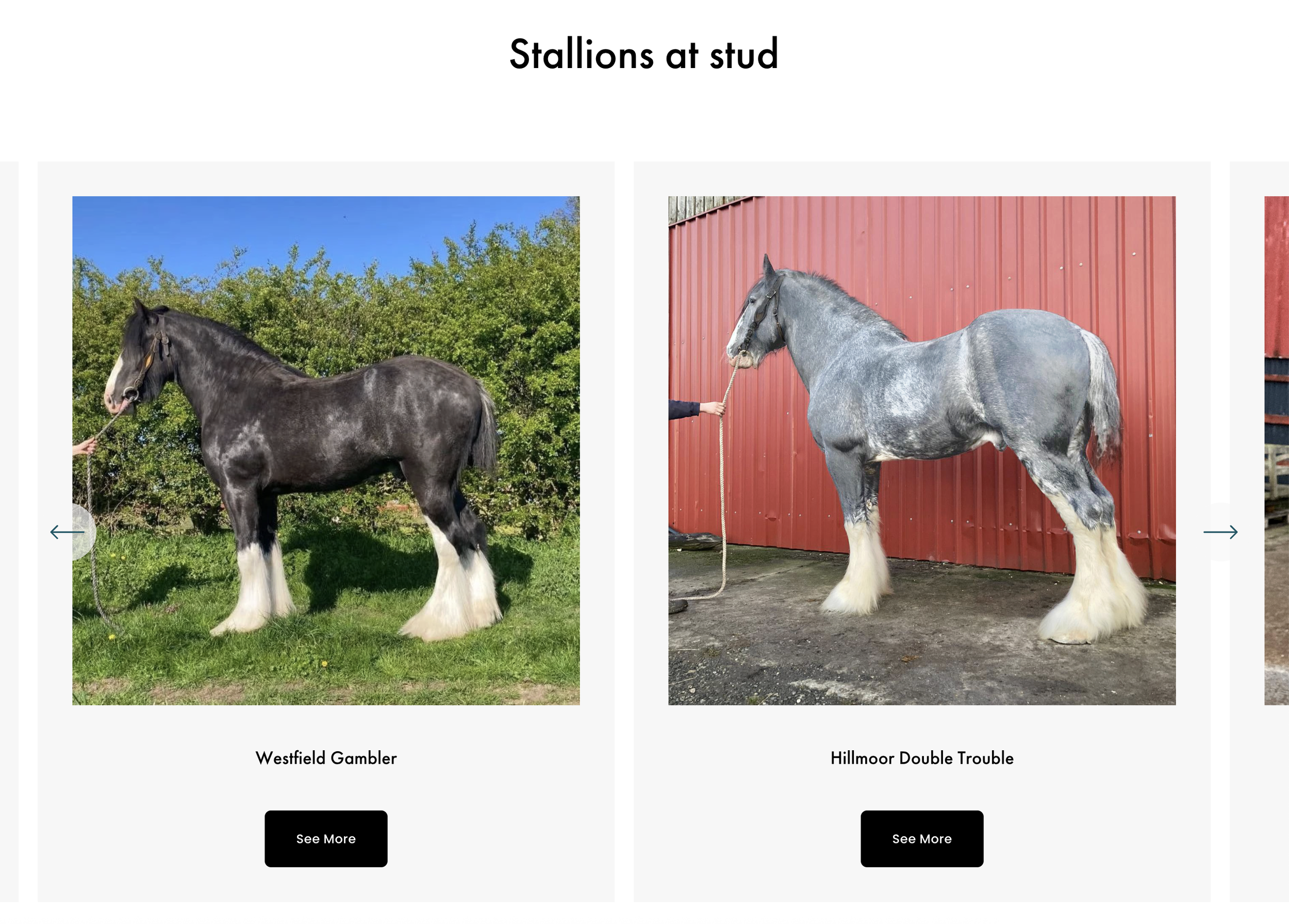 Screenshot 2026-02-16 at 16.18.37.png