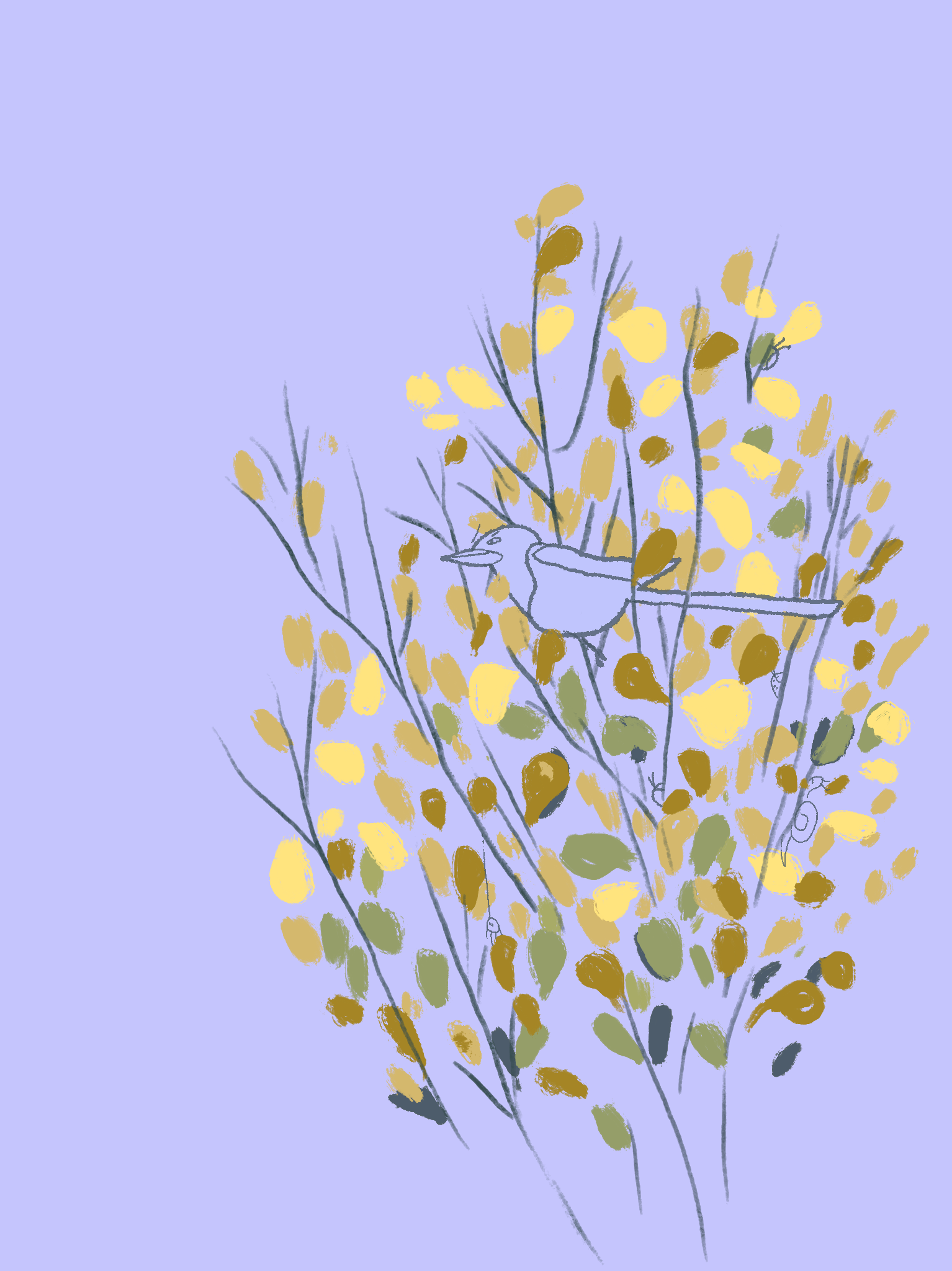 IMG_1751.png