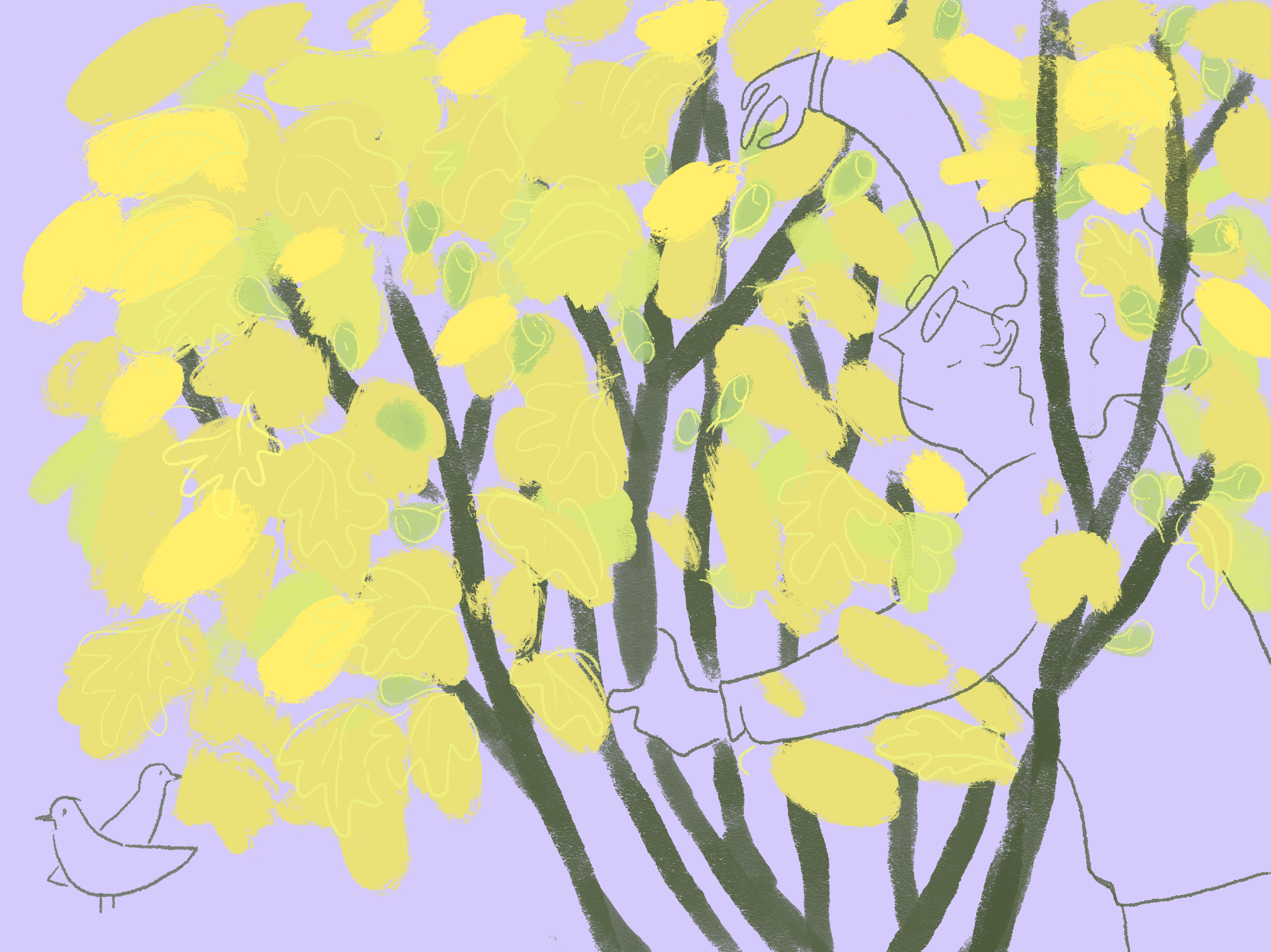 Colourful Autumn garden illustrations