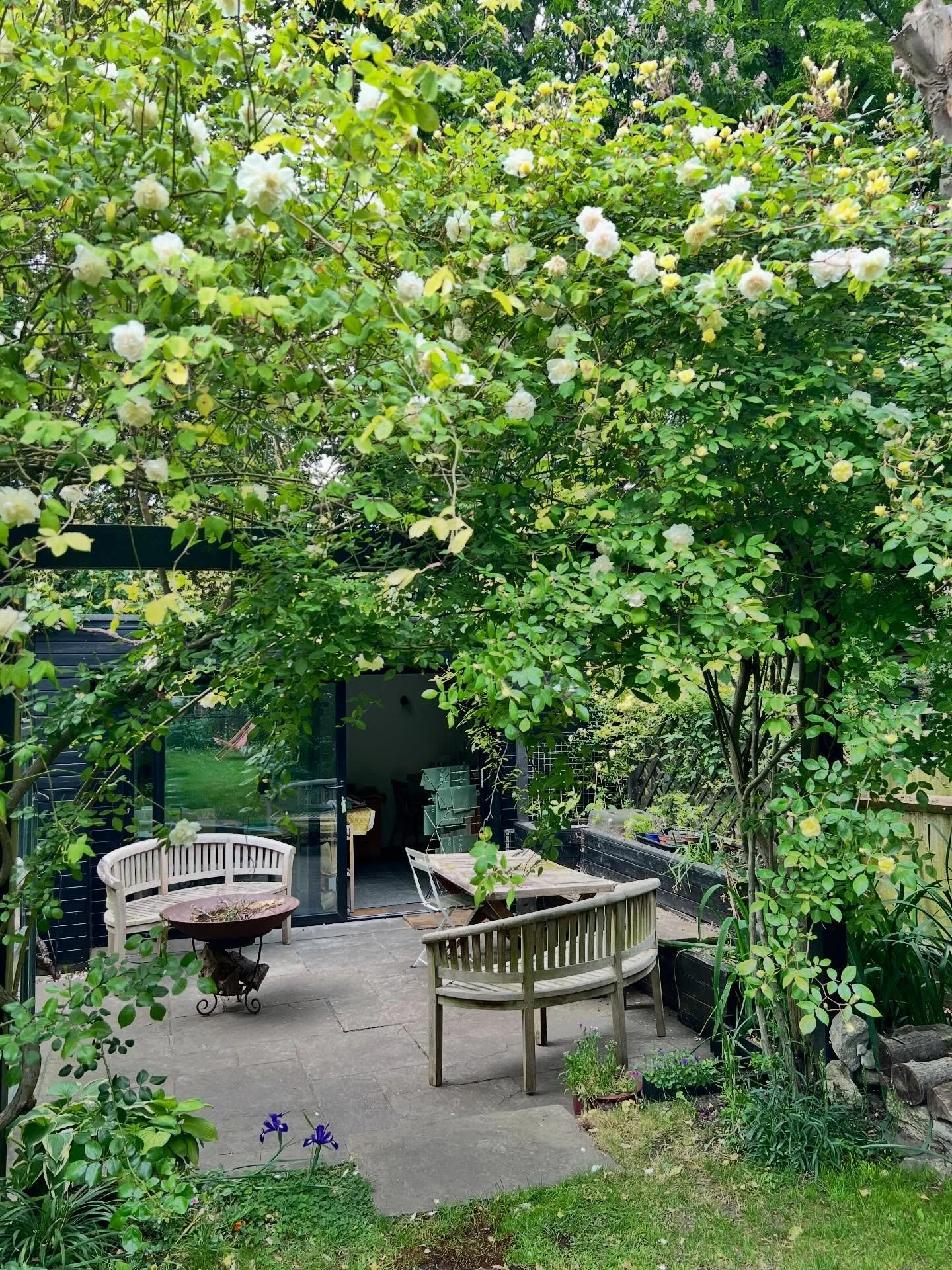My studio today - rose in full bloom.  Thank you to everyone who has bought bags recently, thanks to you I COMPLETELY sold out of stock over the bank holiday, but hang in there as I&rsquo;m making more right now!  I want to thank you for supporting m