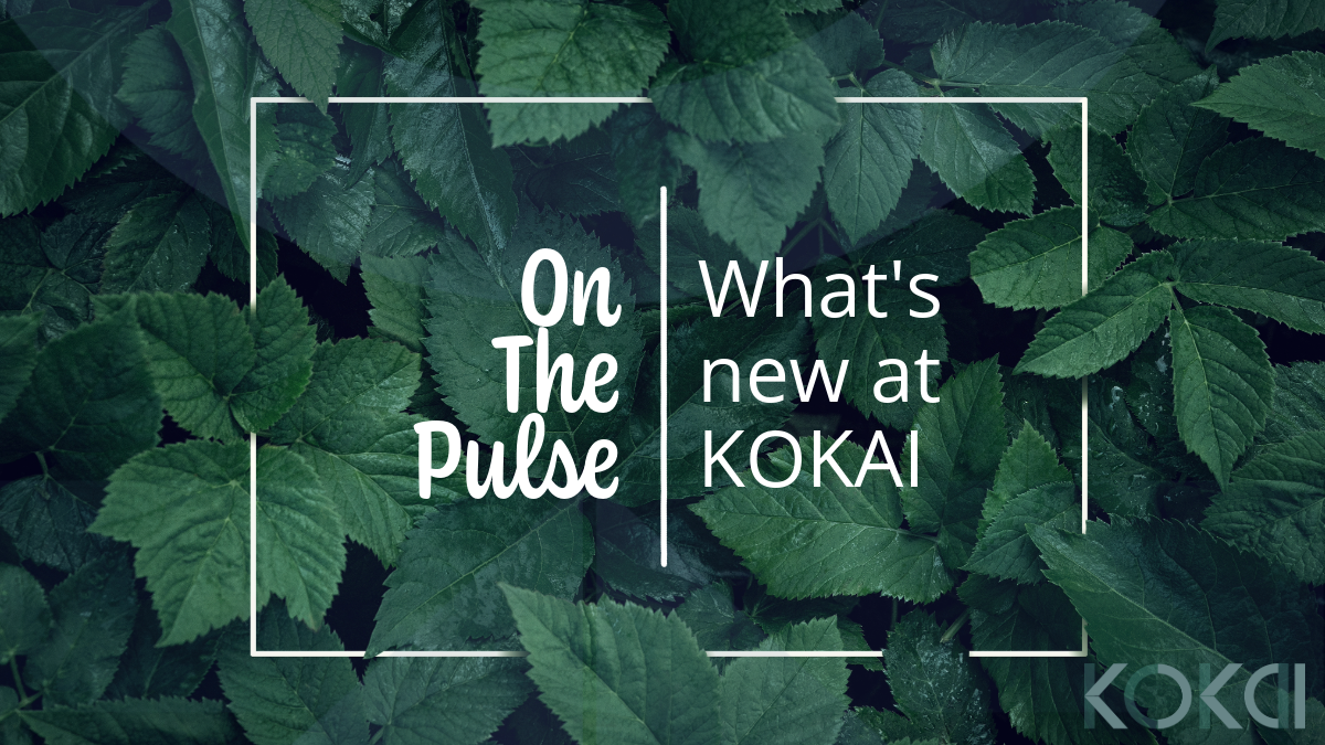 What's new at KOKAI